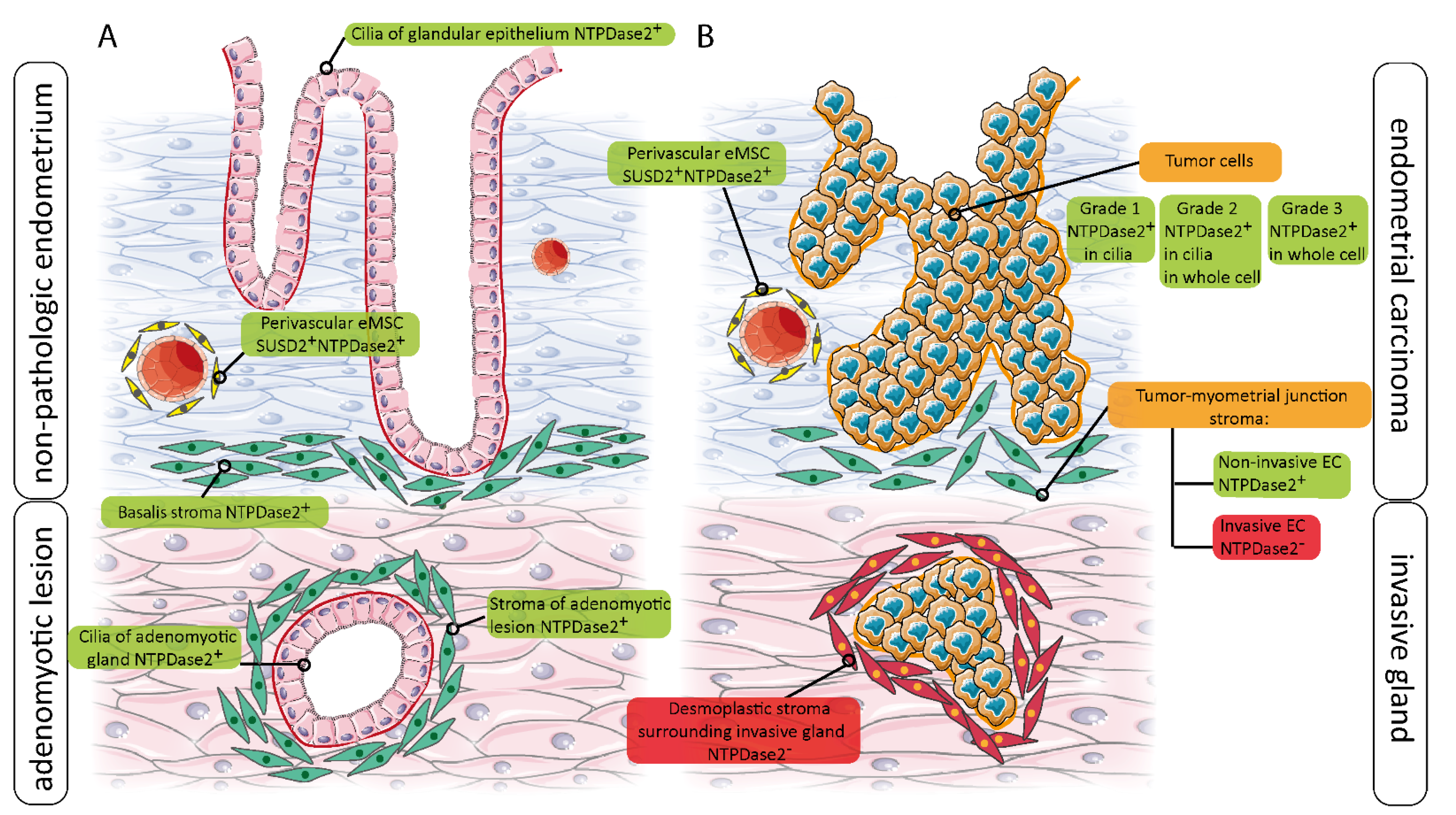 Jpm 11 00331 g008 Jpm 11 00331 g008
