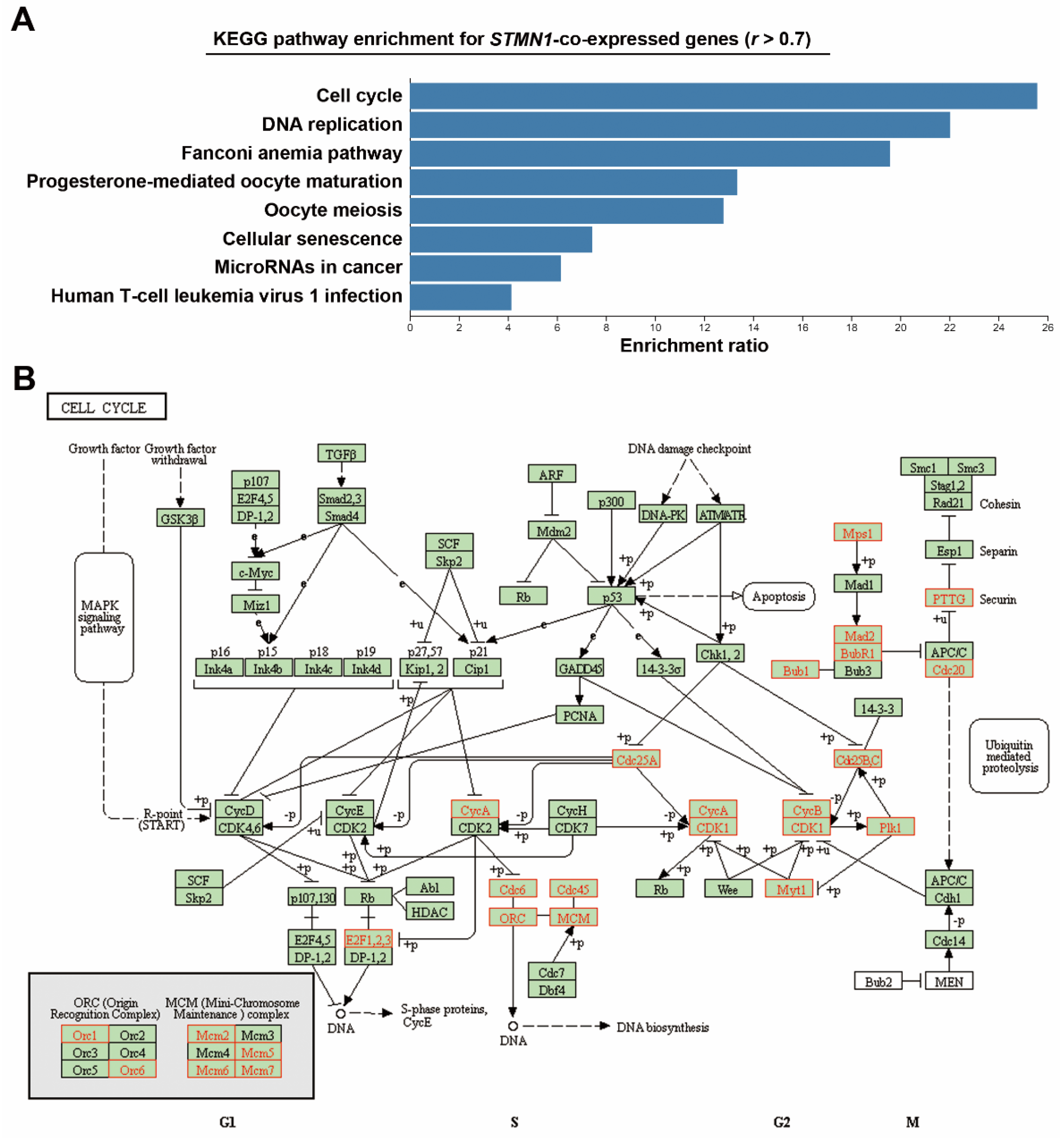 Jpm 11 00332 g002 Jpm 11 00332 g002
