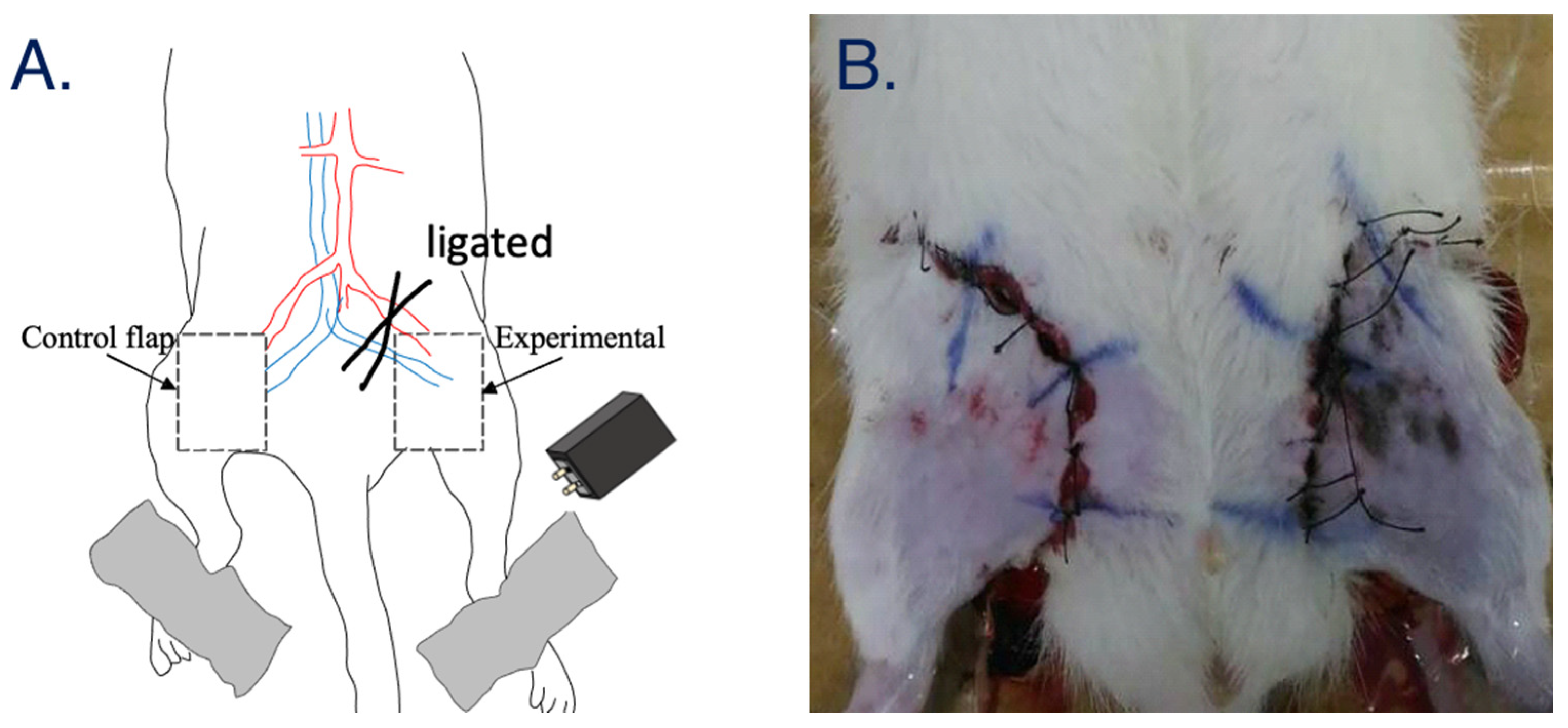 Jpm 11 00373 g002 Jpm 11 00373 g002
