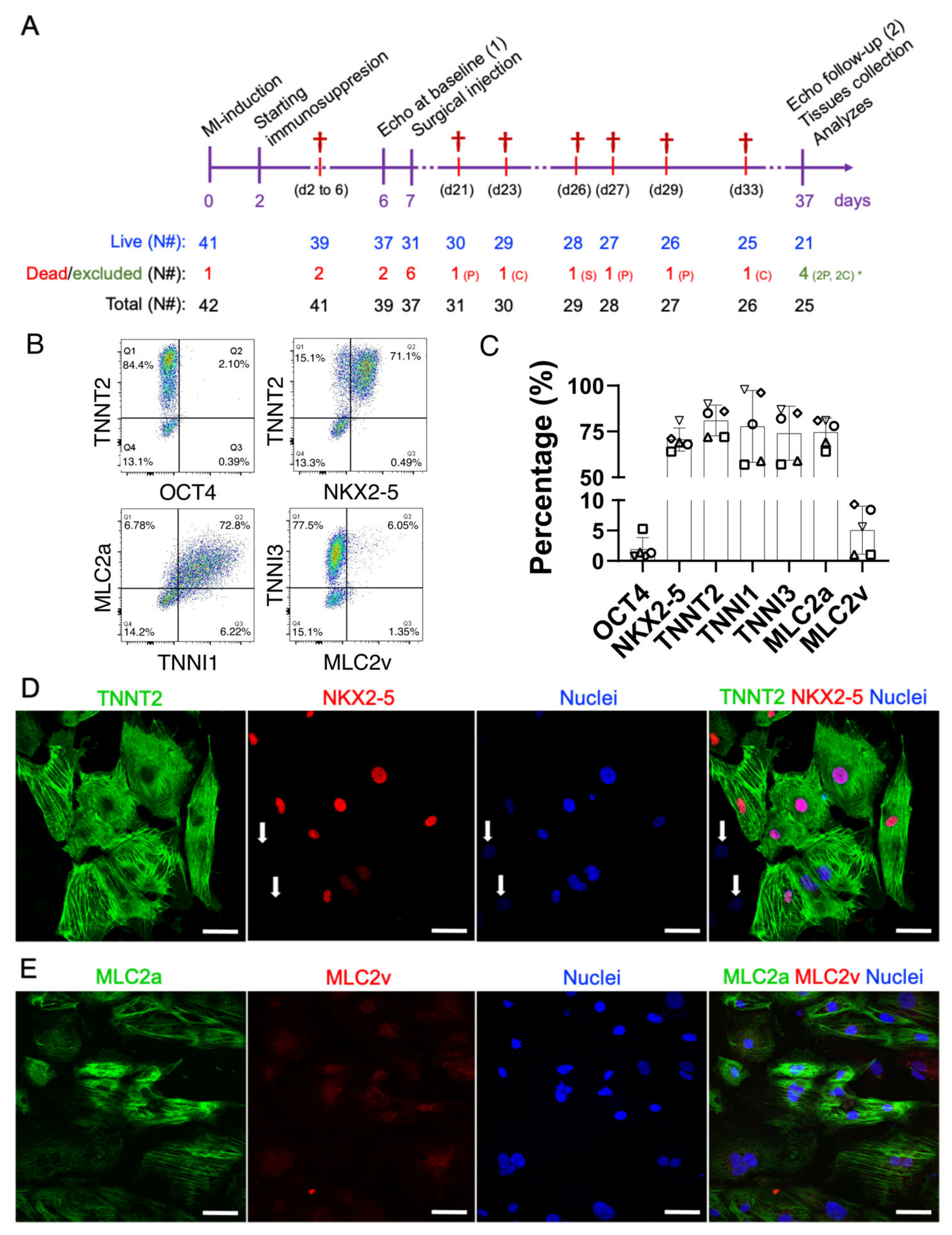 Jpm 11 00374 g001 Jpm 11 00374 g001