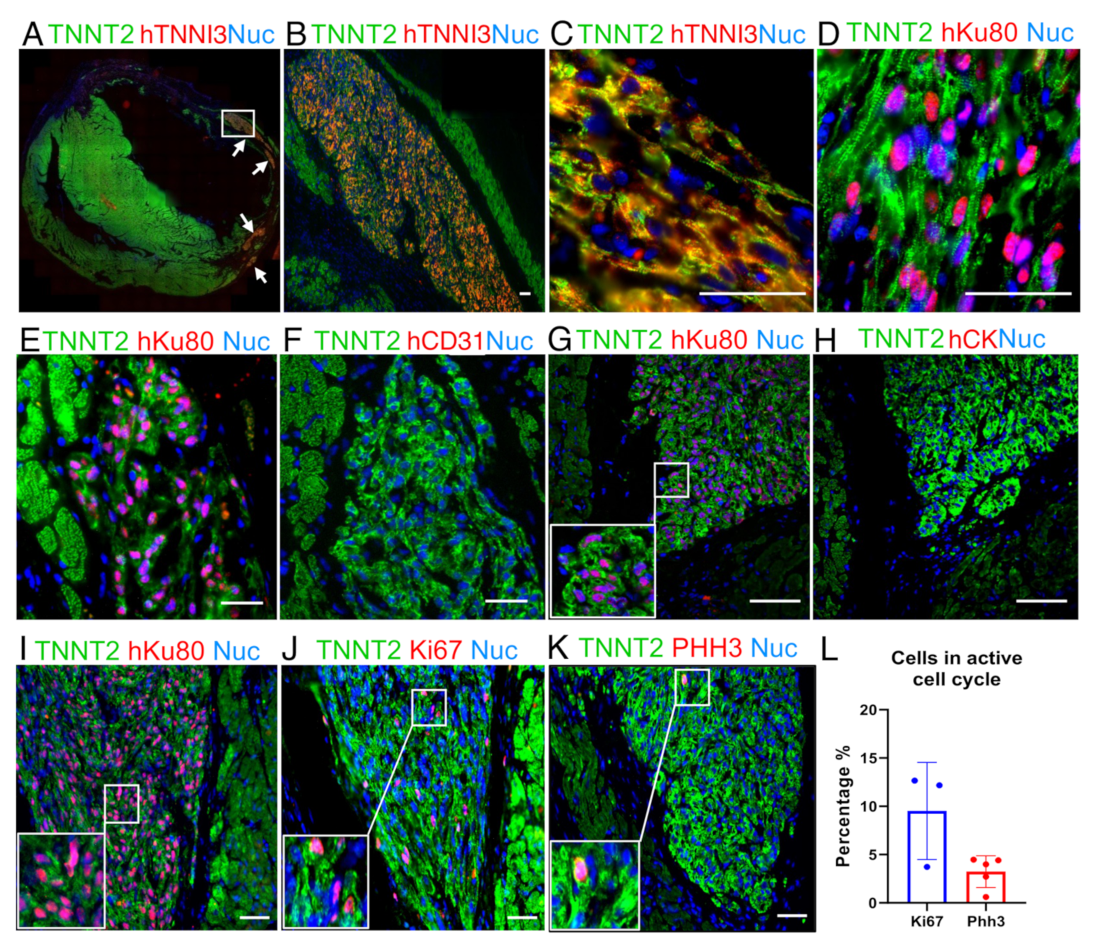 Jpm 11 00374 g003 Jpm 11 00374 g003