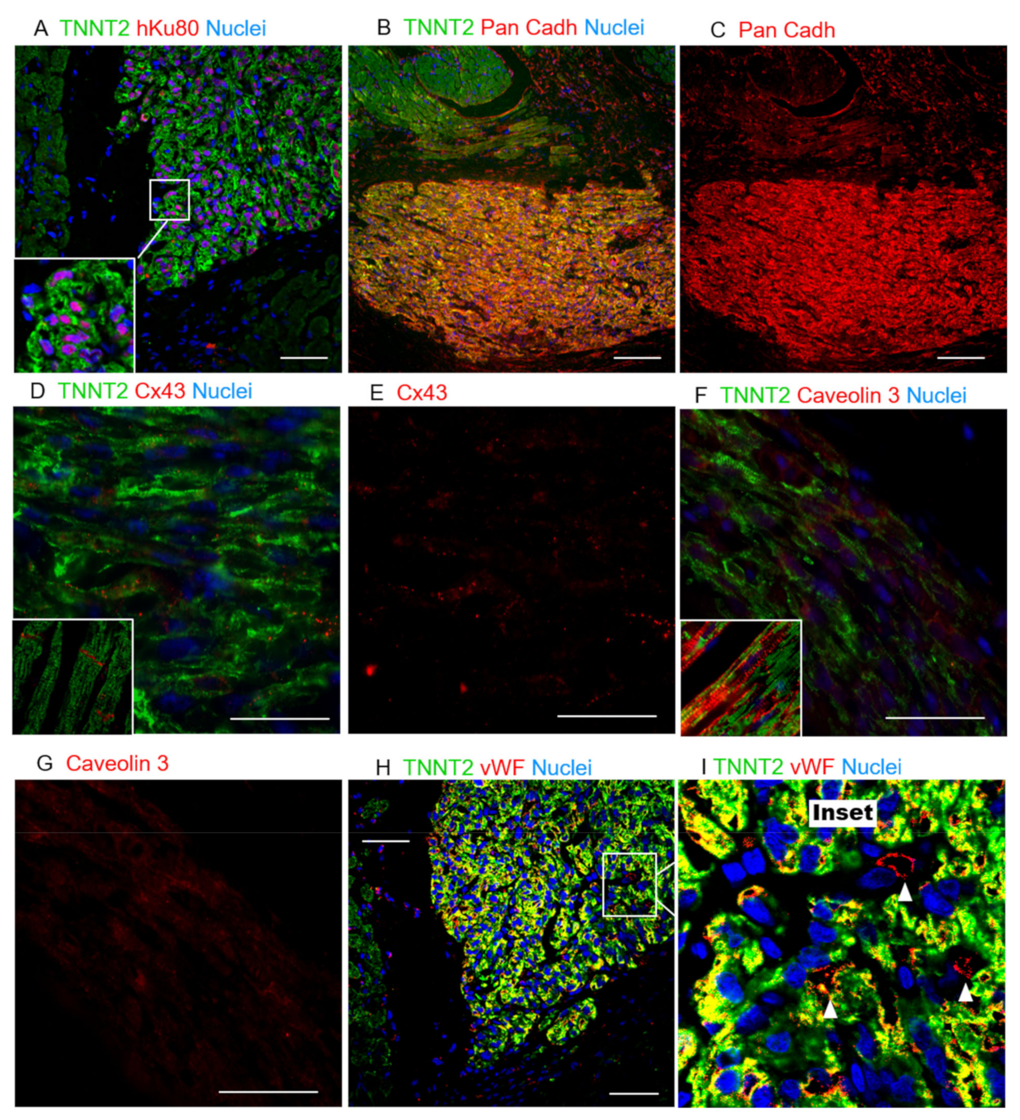 Jpm 11 00374 g005 Jpm 11 00374 g005