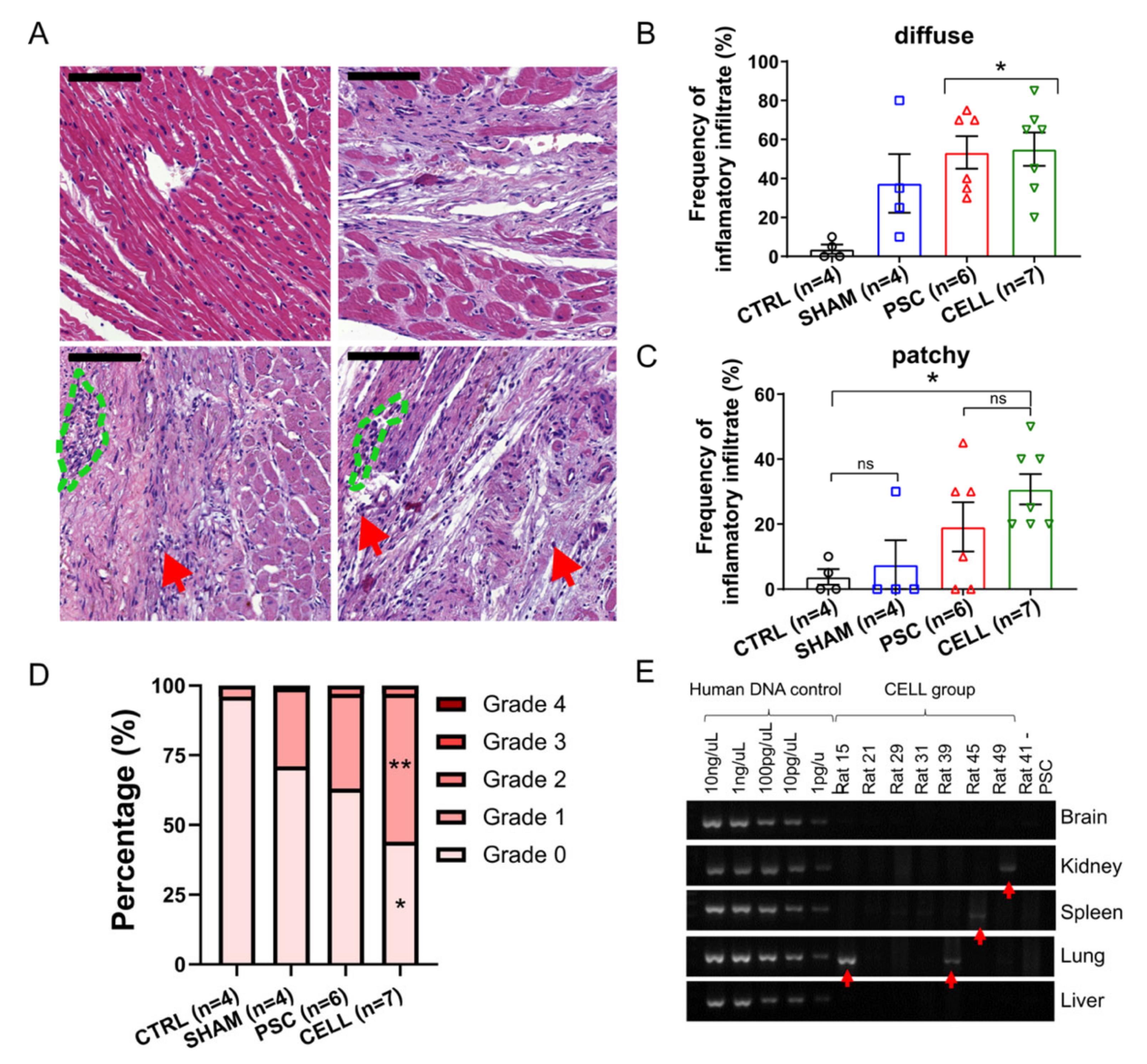 Jpm 11 00374 g006 Jpm 11 00374 g006
