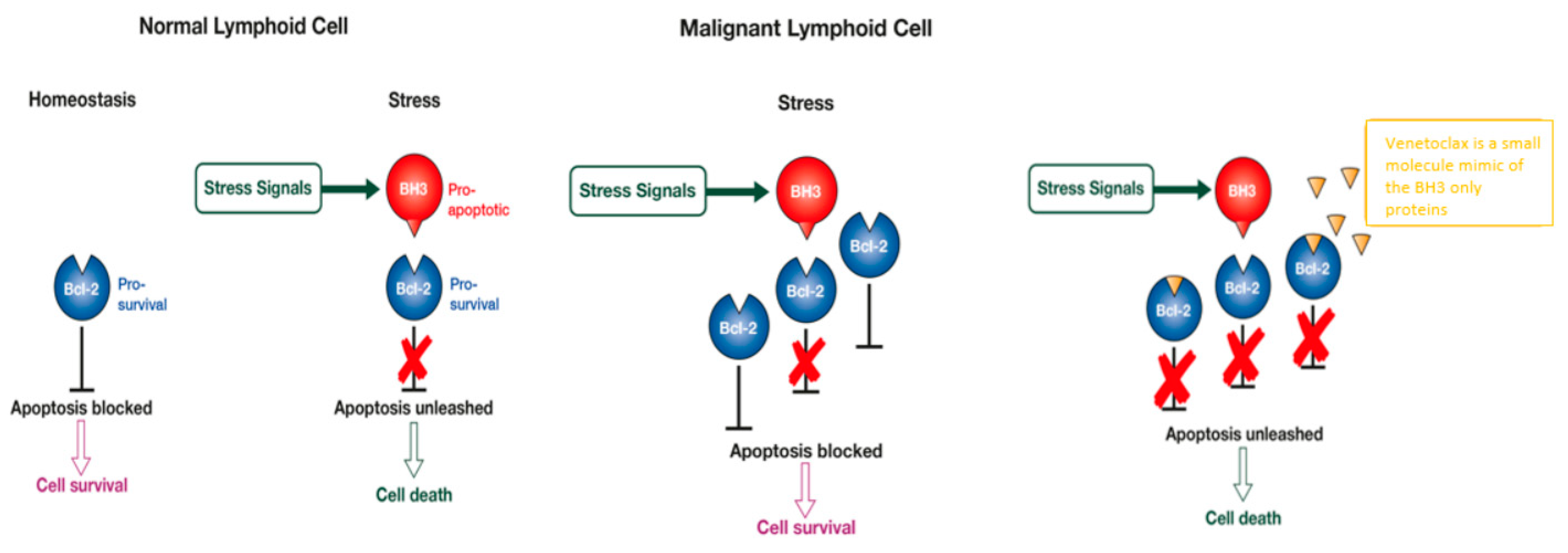 Jpm 11 00463 g001 Jpm 11 00463 g001