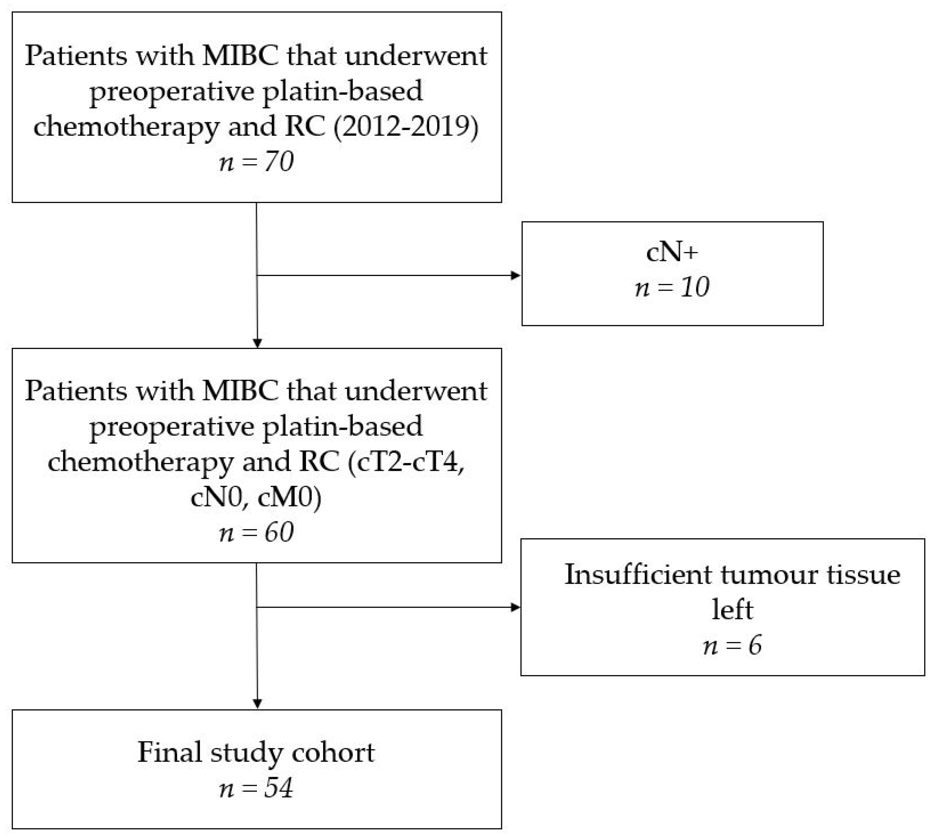 Jpm 11 00473 g001 Jpm 11 00473 g001