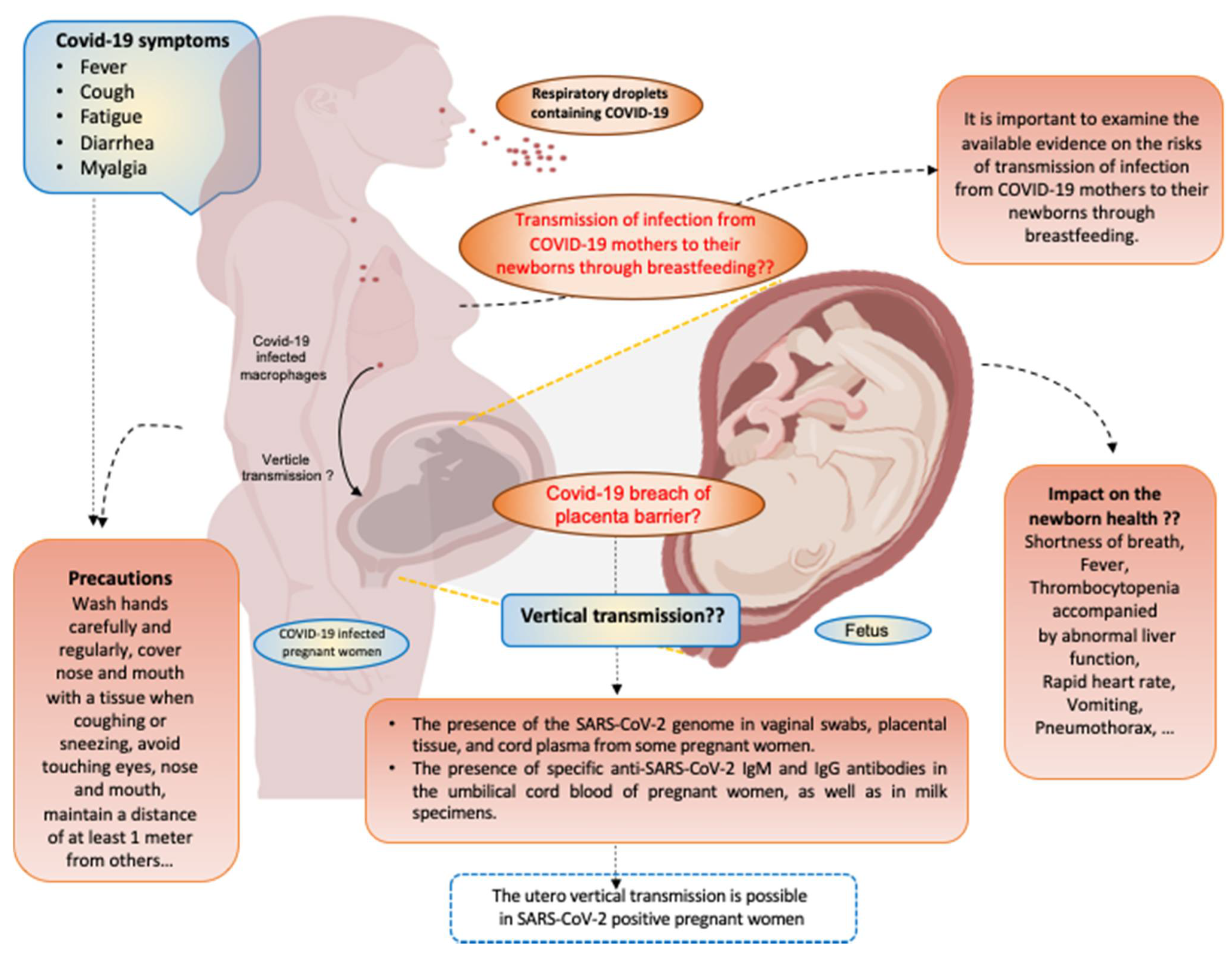 Covid-19 in Pregnancy; scientific studies