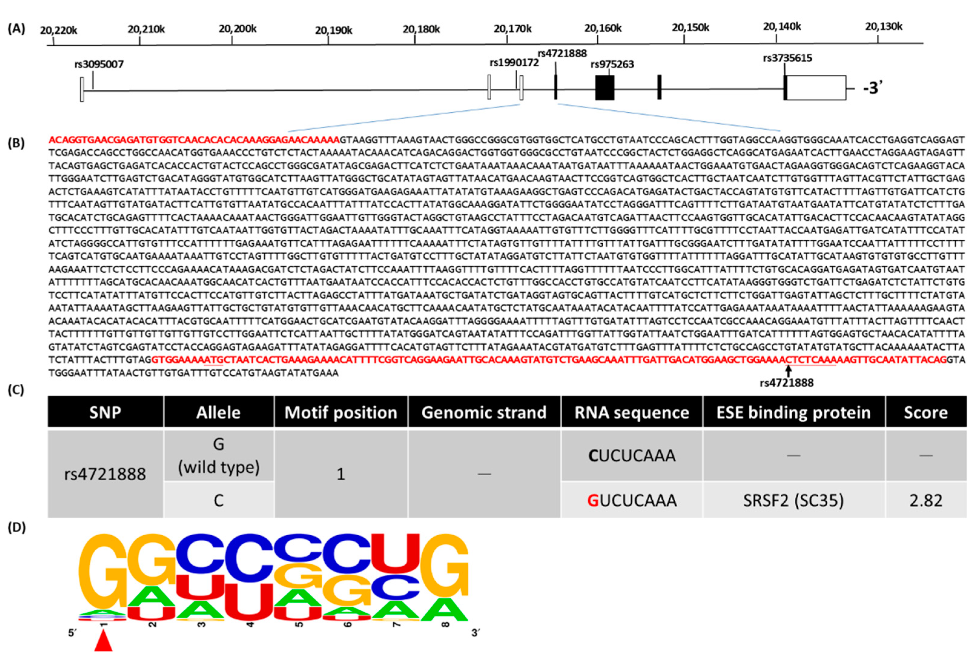 Jpm 11 00490 g001 Jpm 11 00490 g001