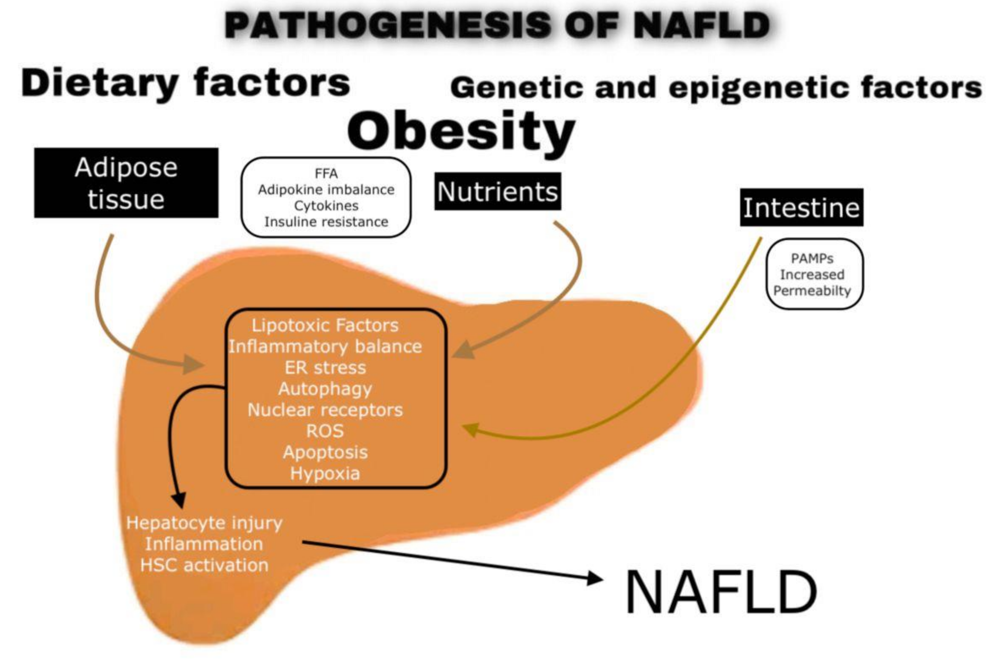 Jpm 11 00499 g002 Jpm 11 00499 g002
