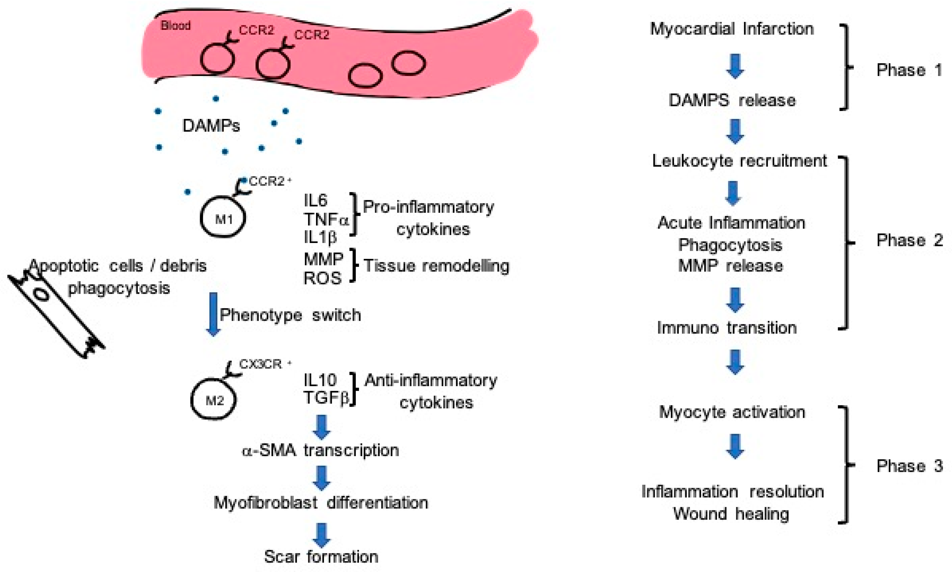 Jpm 11 00529 g001 Jpm 11 00529 g001