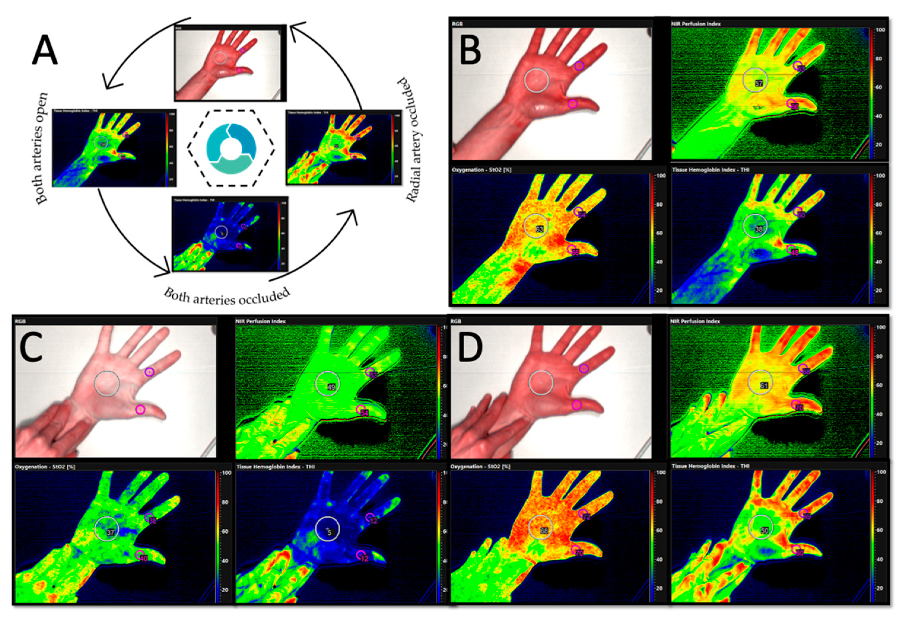 Jpm 11 00531 g002 Jpm 11 00531 g002