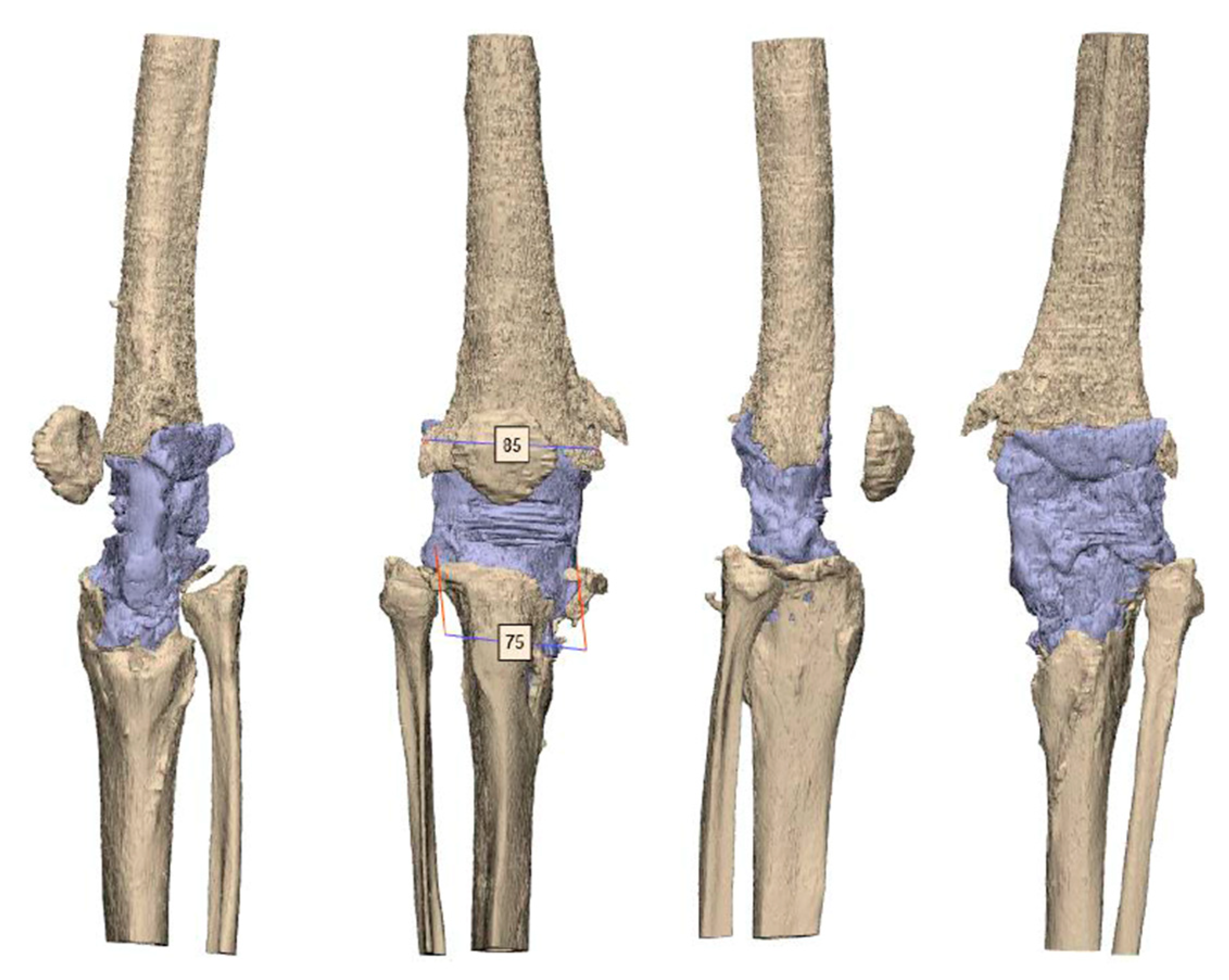 Jpm 11 00572 g002 Jpm 11 00572 g002