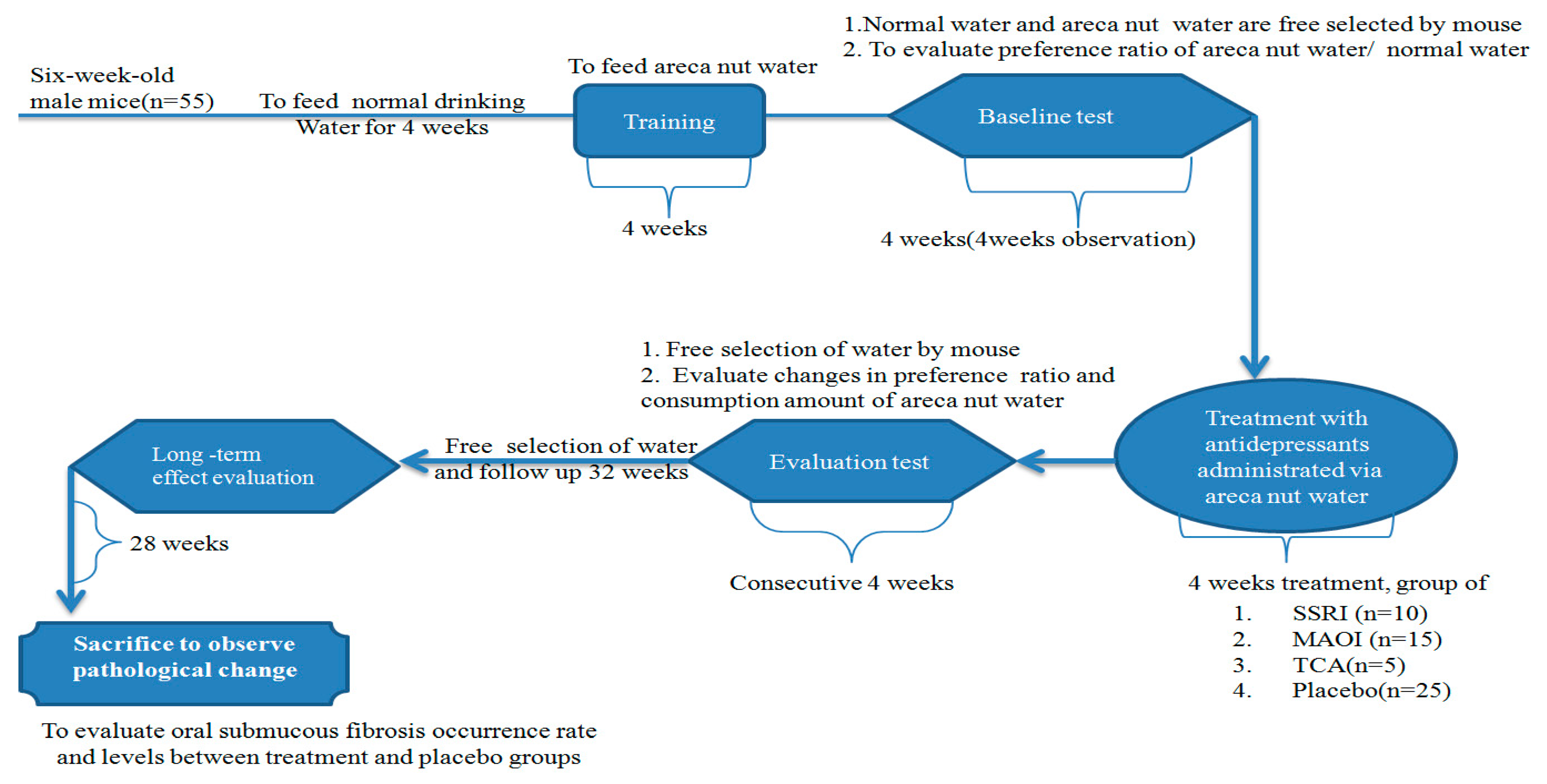 Jpm 11 00591 g001 Jpm 11 00591 g001