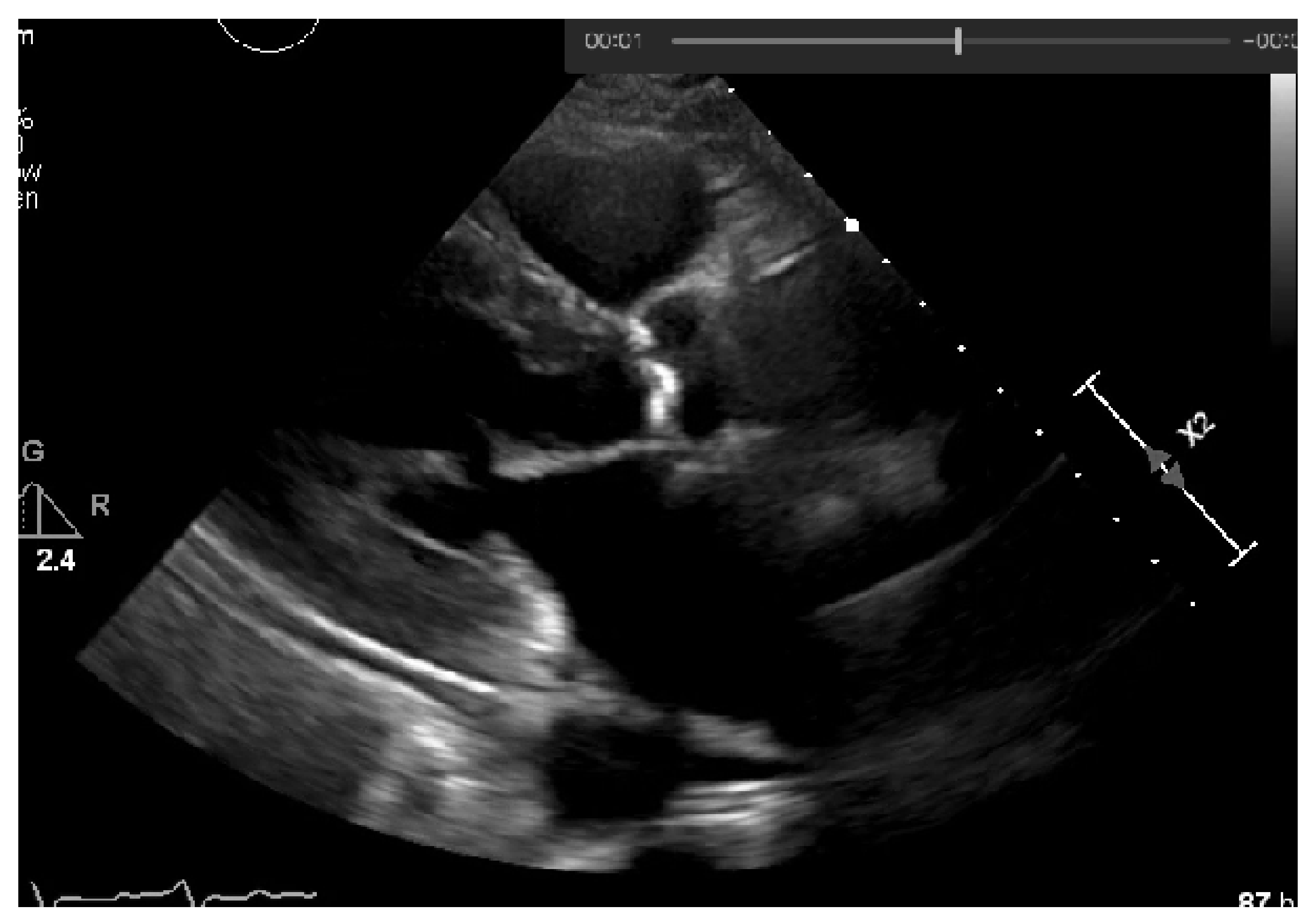 Jpm 11 00598 g015 550