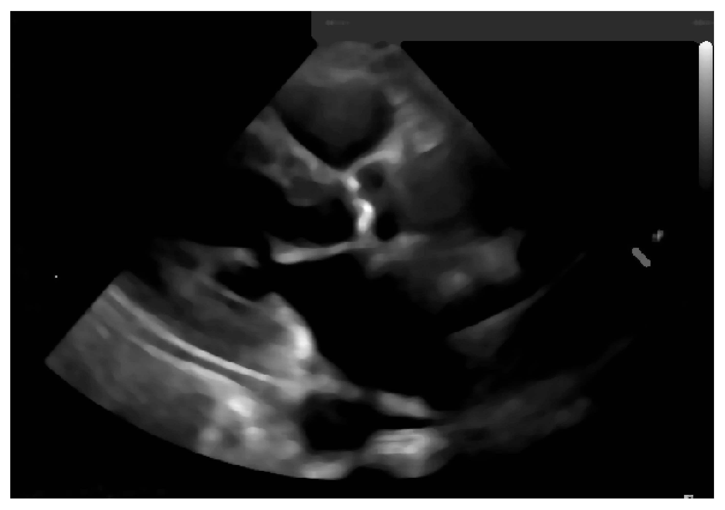 Jpm 11 00598 g016 550