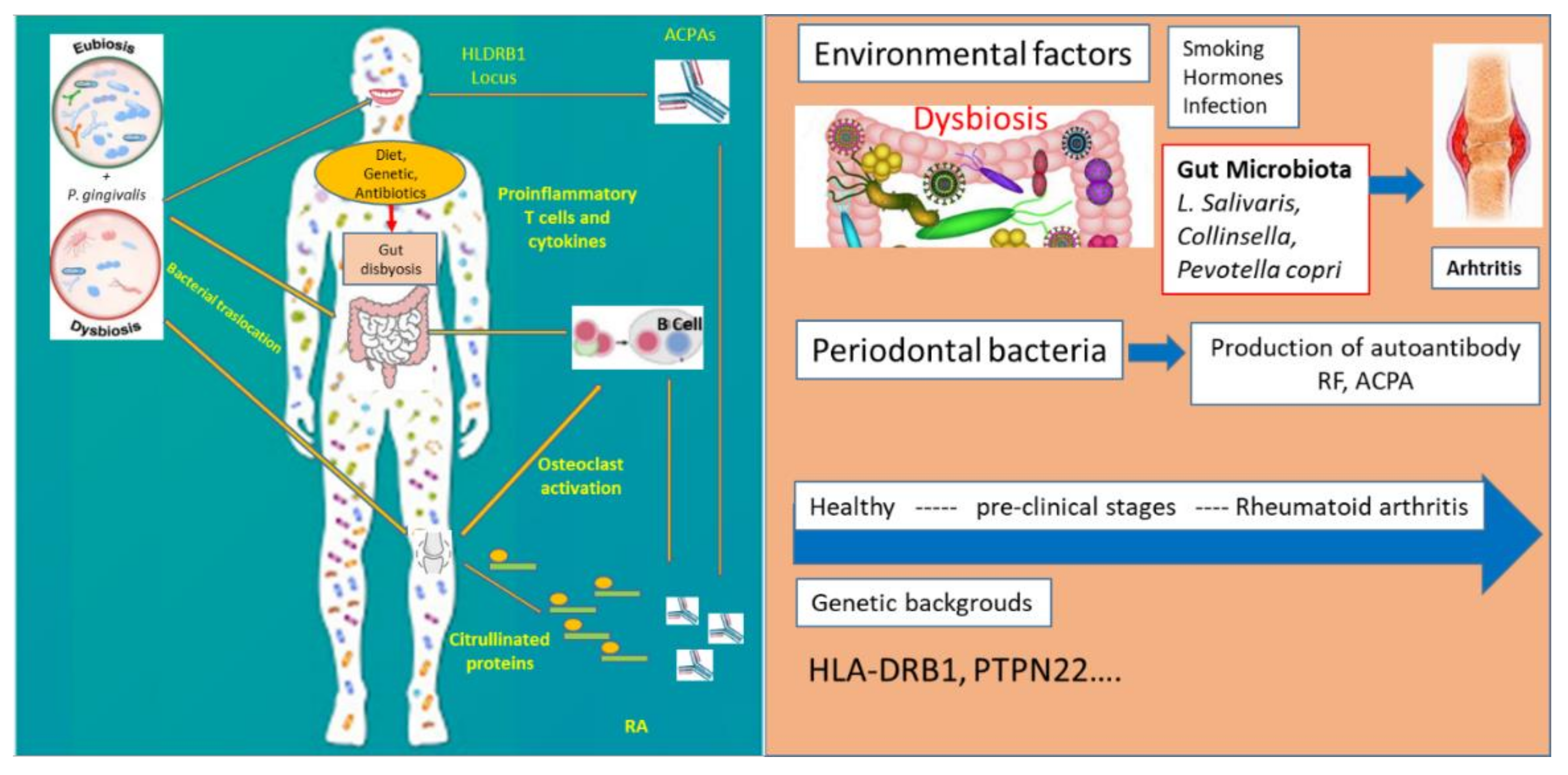 Jpm 11 00625 g002 Jpm 11 00625 g002