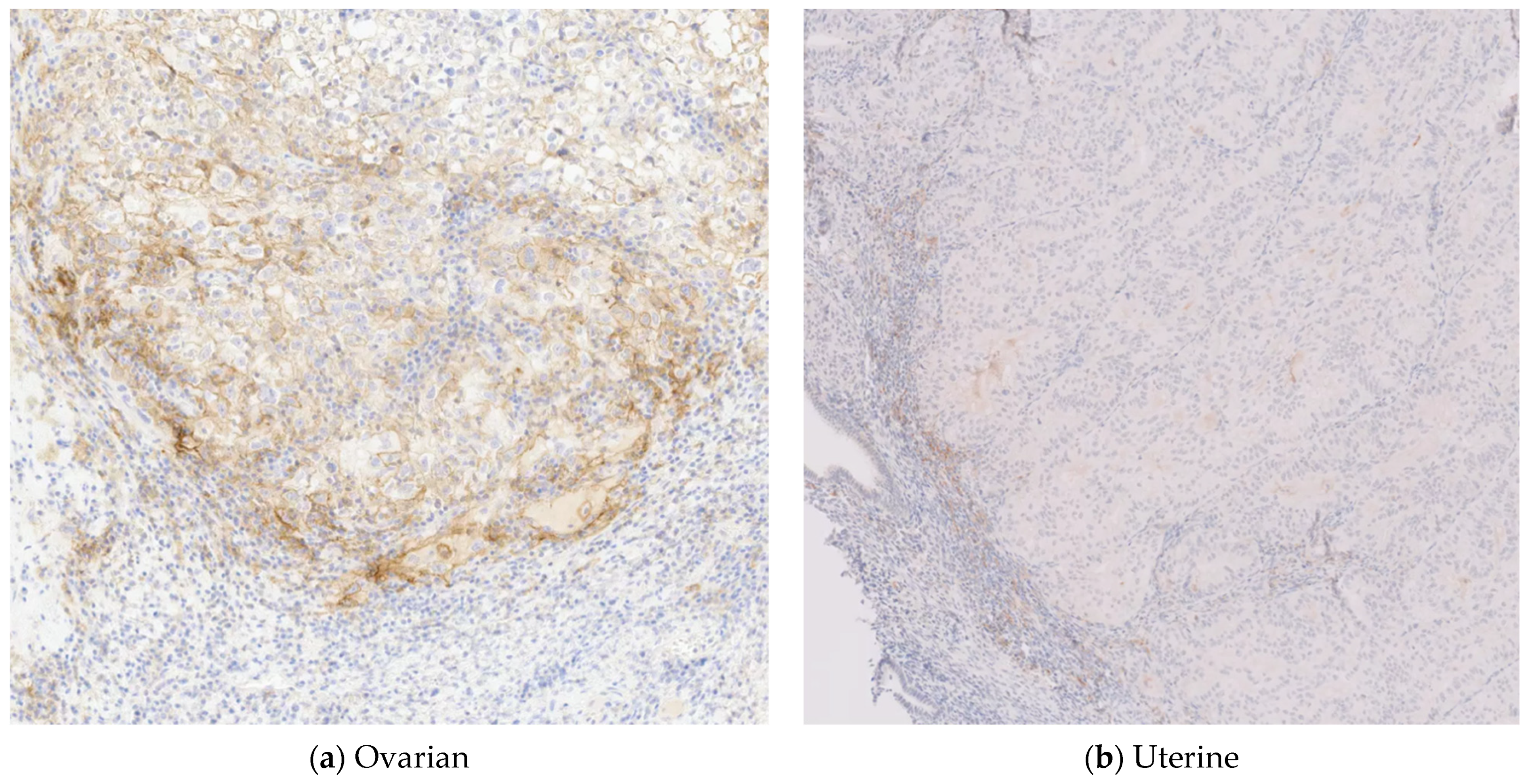 Jpm 11 00634 g002 550