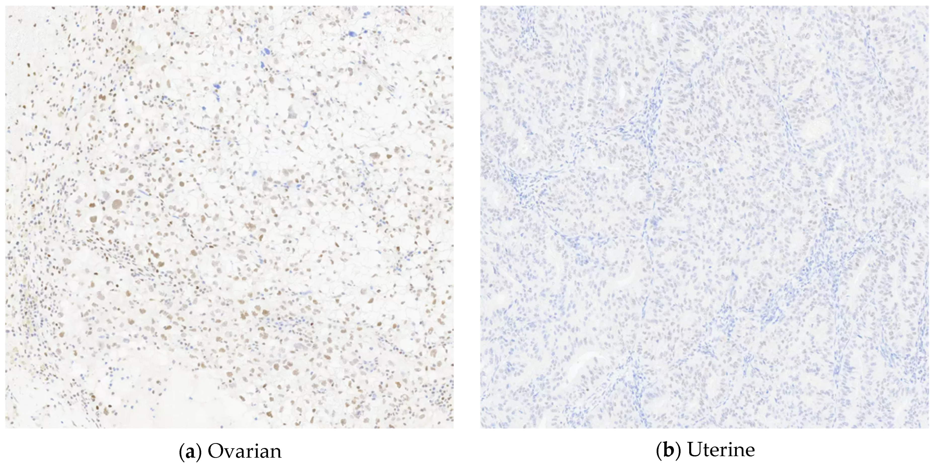 Jpm 11 00634 g003 550