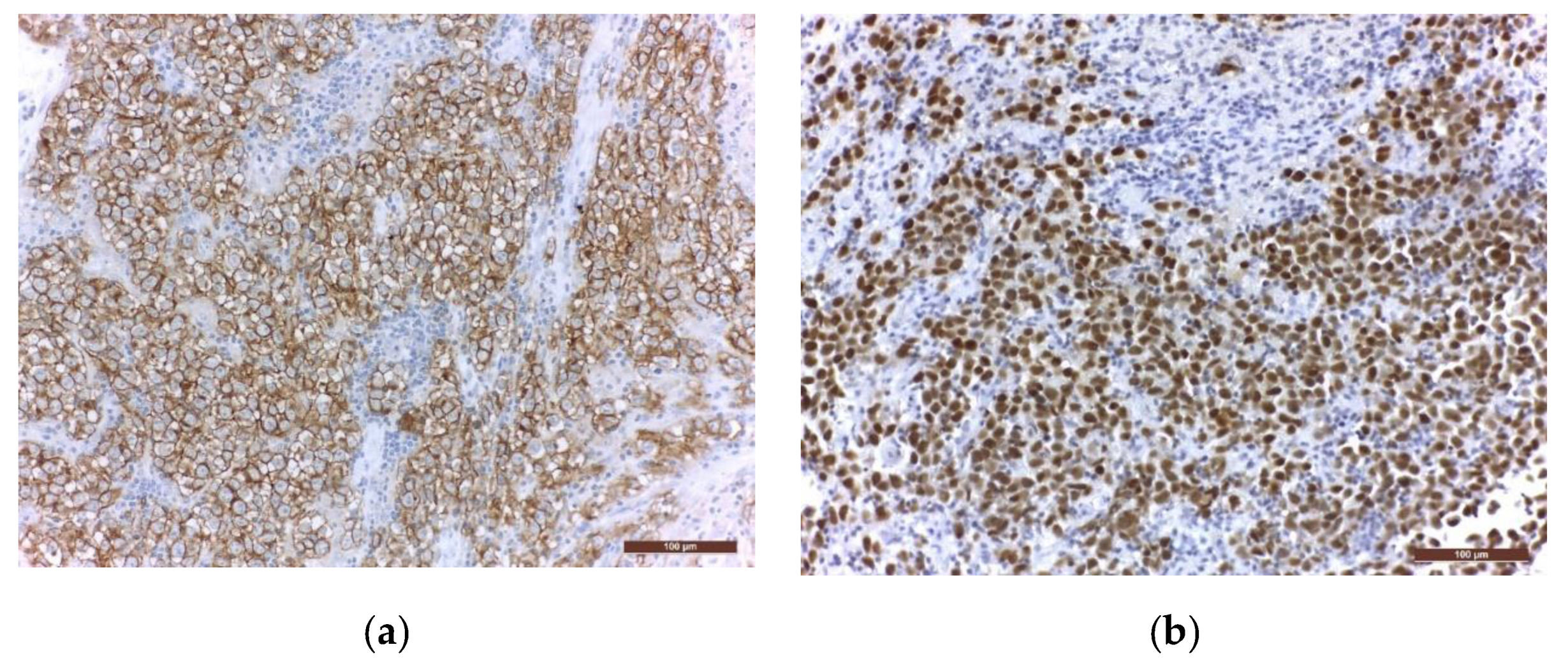 Jpm 11 00661 g004a Jpm 11 00661 g004a