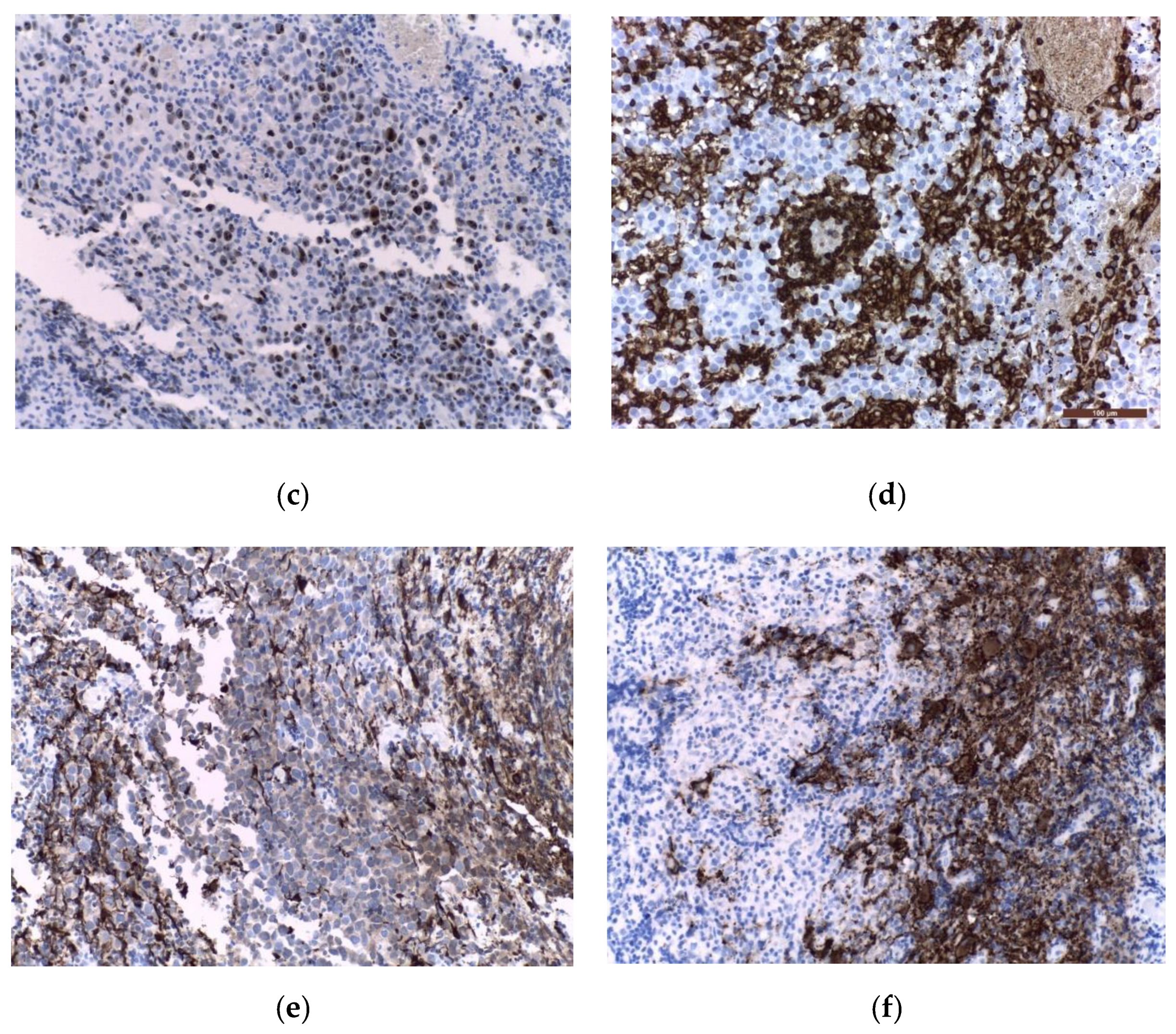 Jpm 11 00661 g004b Jpm 11 00661 g004b