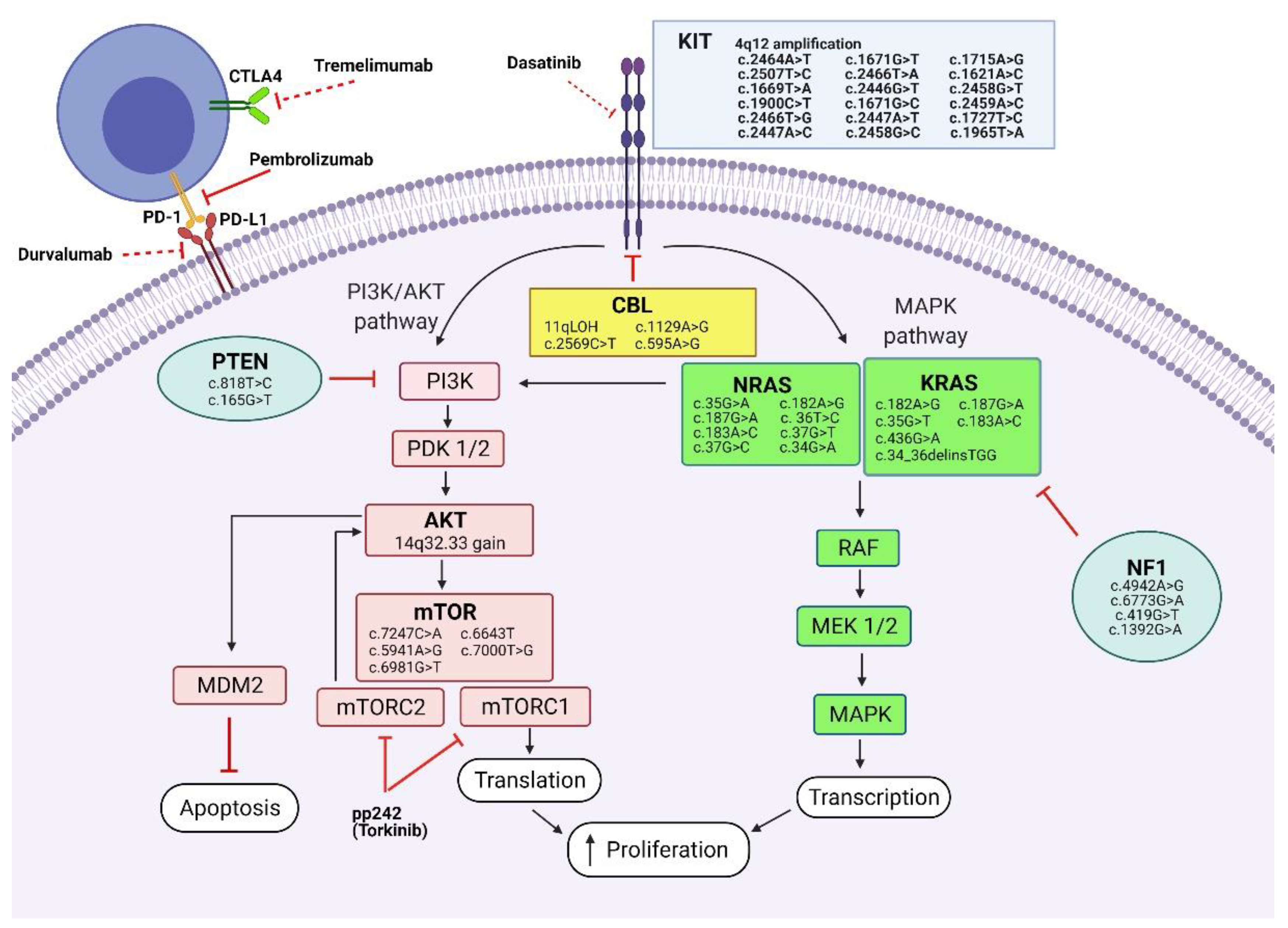 Jpm 11 00661 g005 Jpm 11 00661 g005