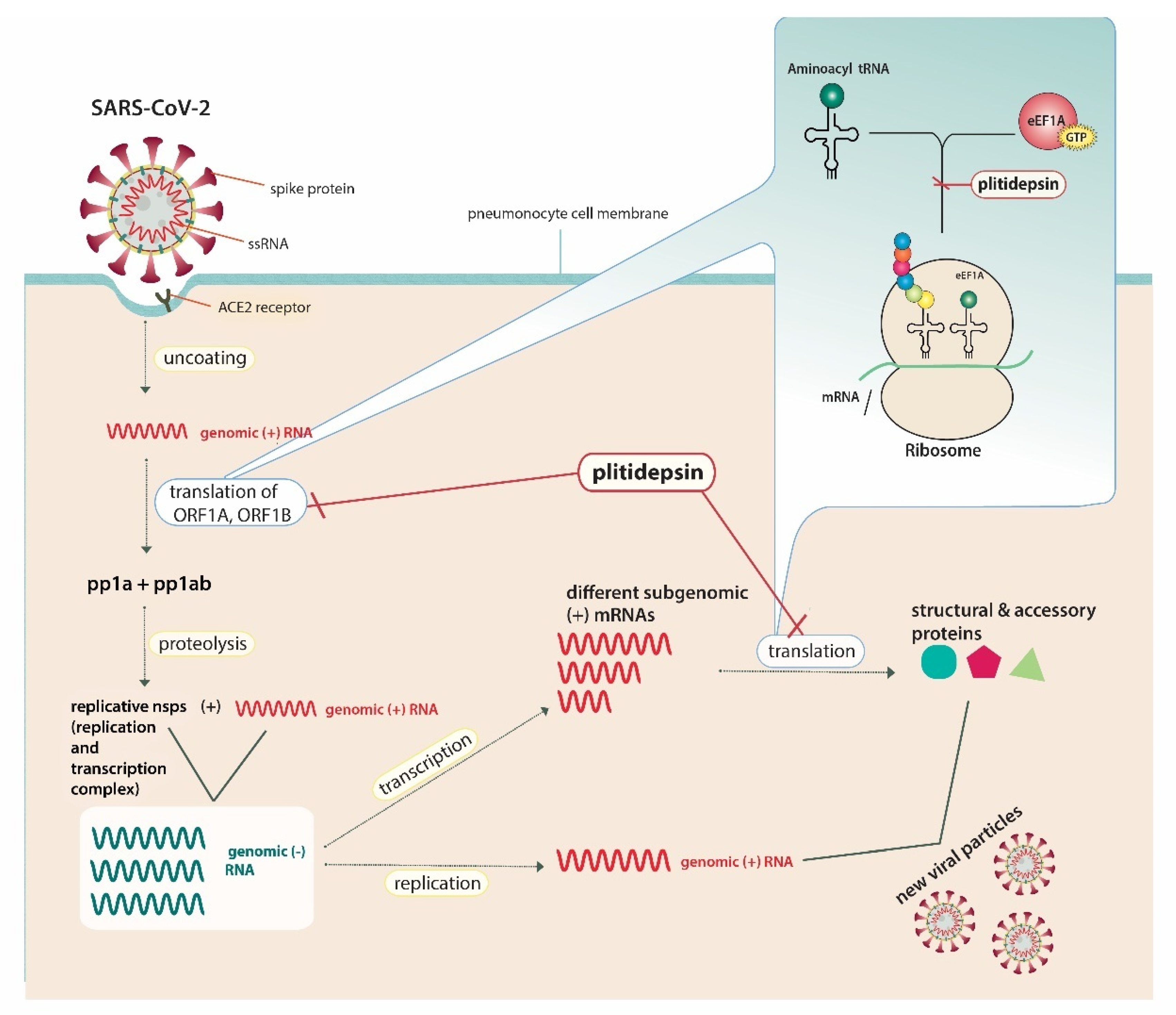 Jpm 11 00668 g001 550
