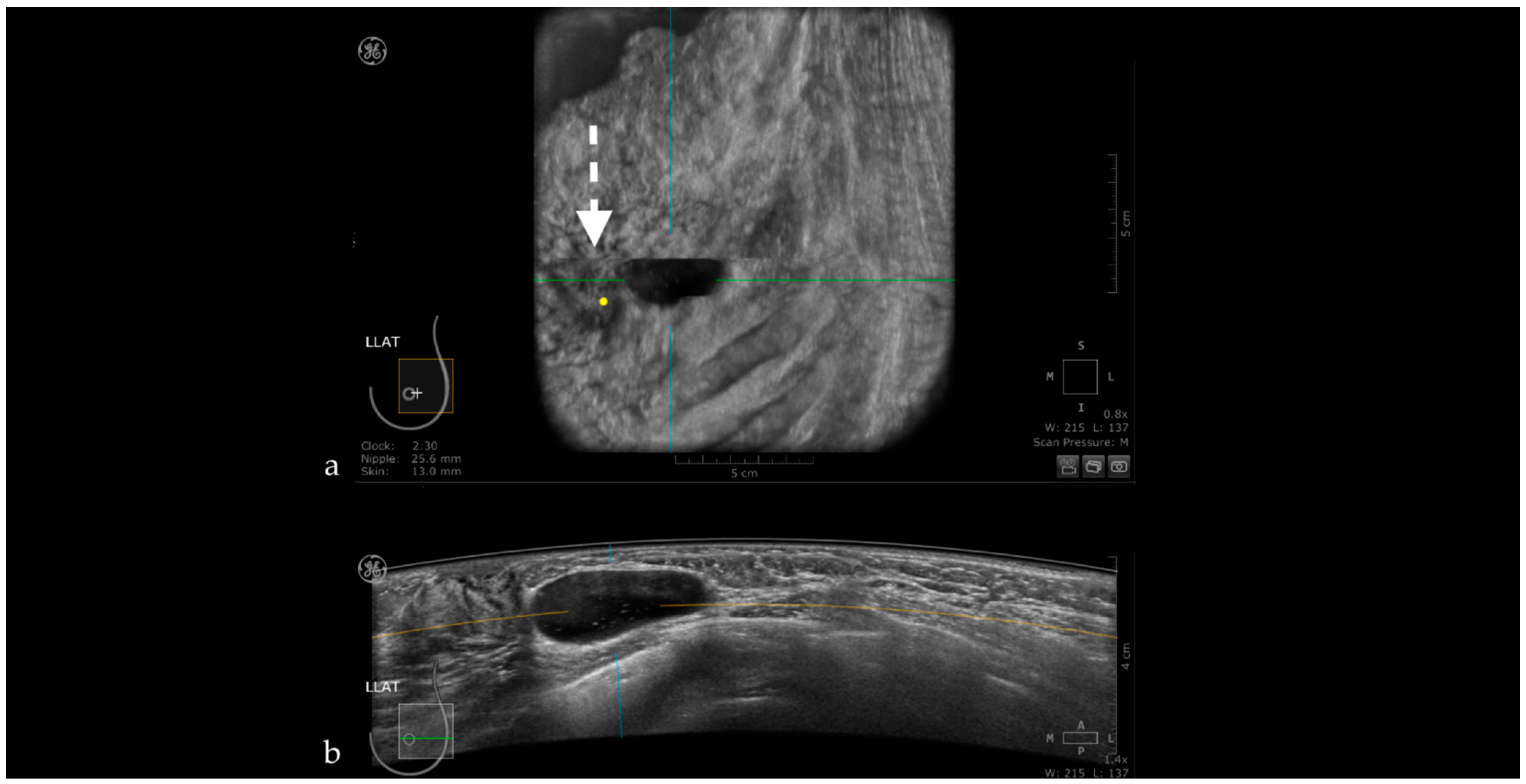 Jpm 11 00703 g005 Jpm 11 00703 g005