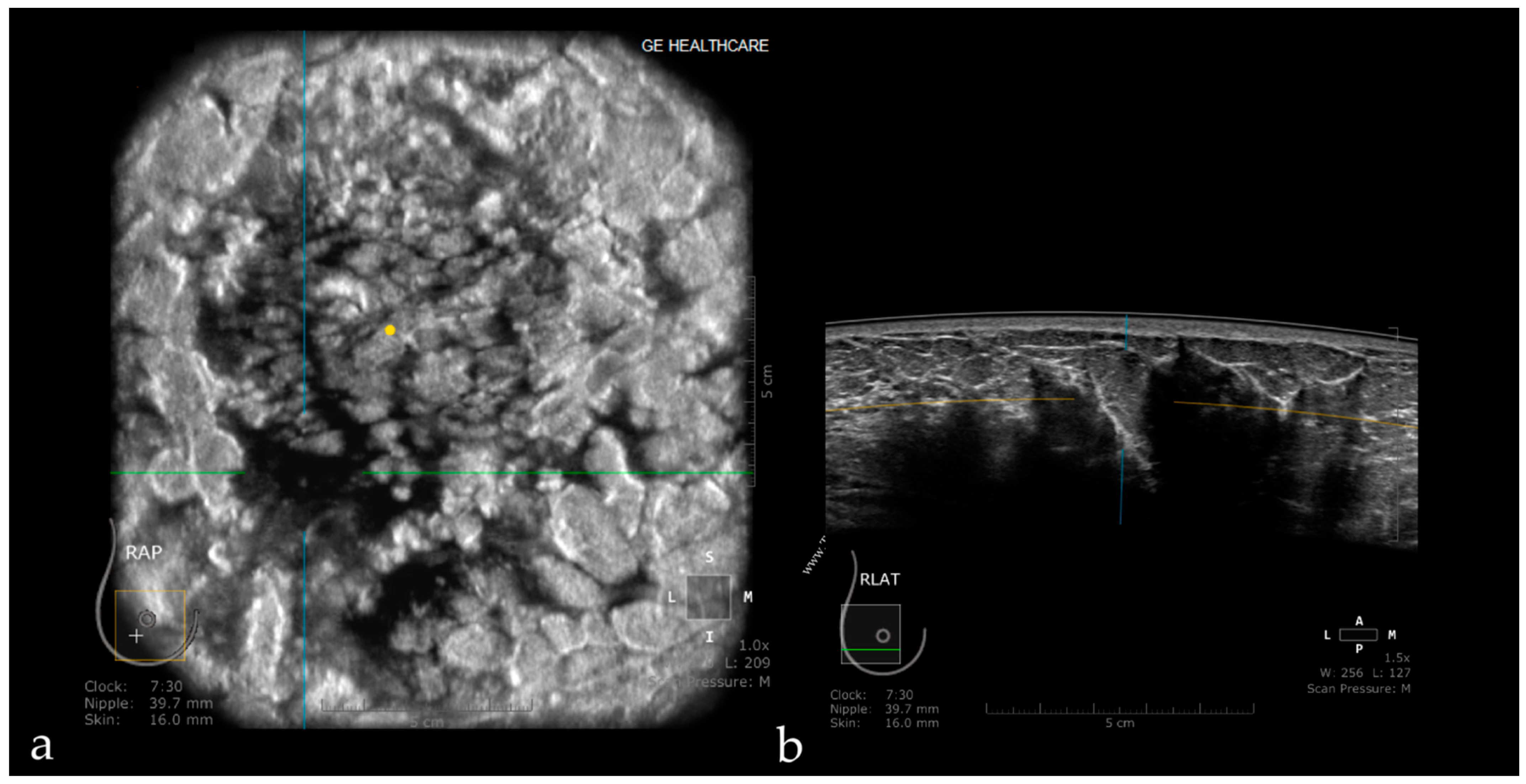 Jpm 11 00703 g007 Jpm 11 00703 g007