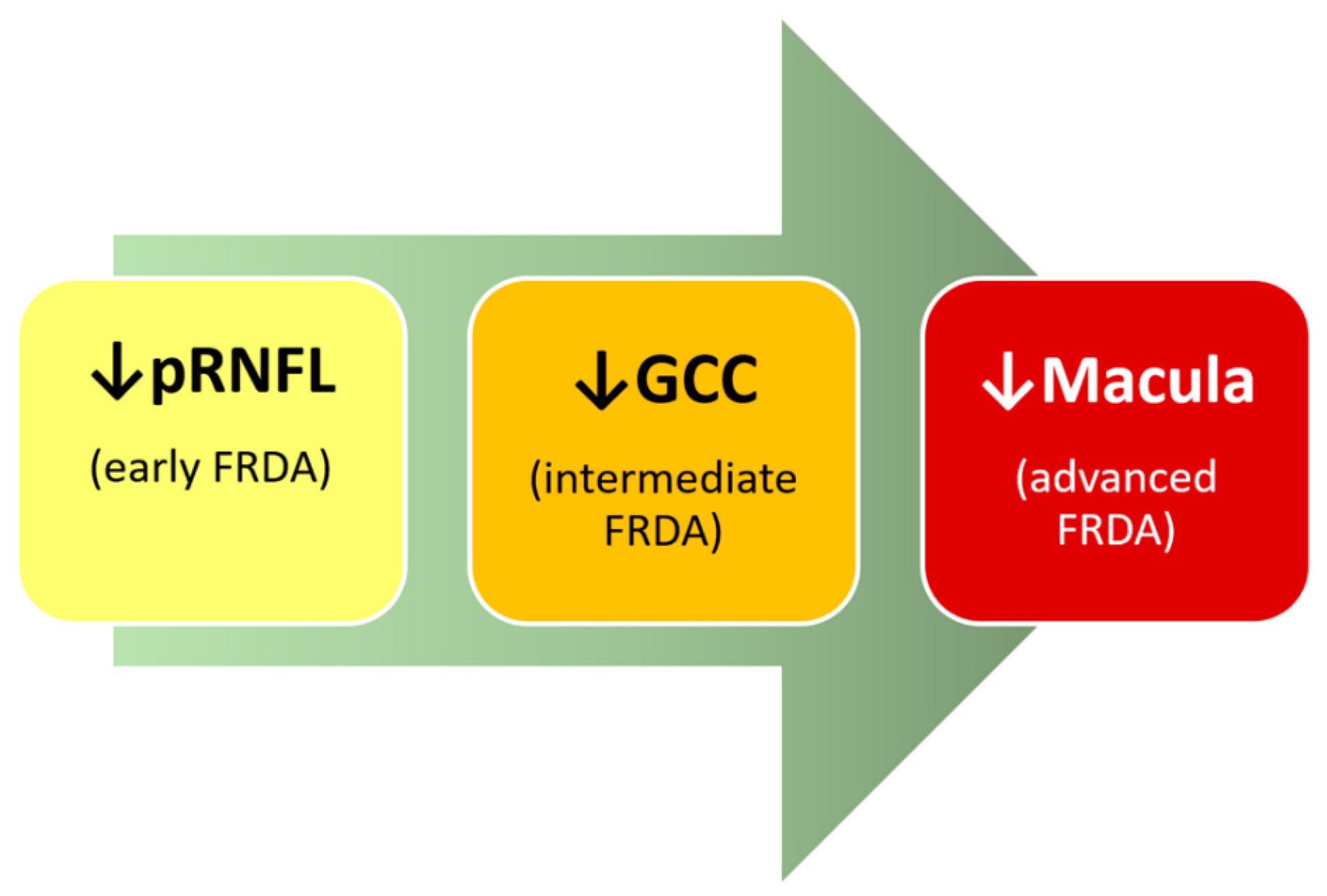 Jpm 11 00708 g002 Jpm 11 00708 g002