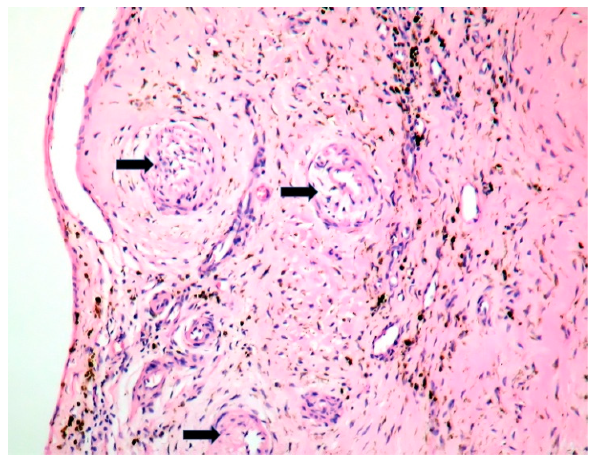 Jpm 11 00728 g003 550