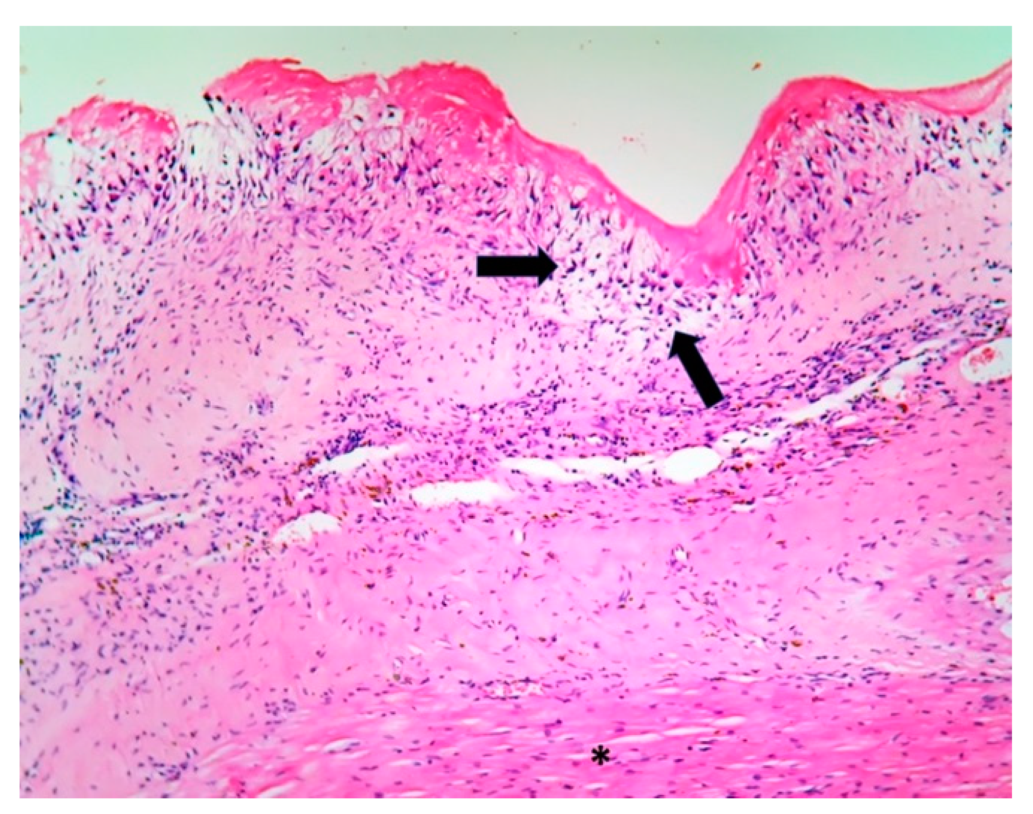 Jpm 11 00728 g005 550