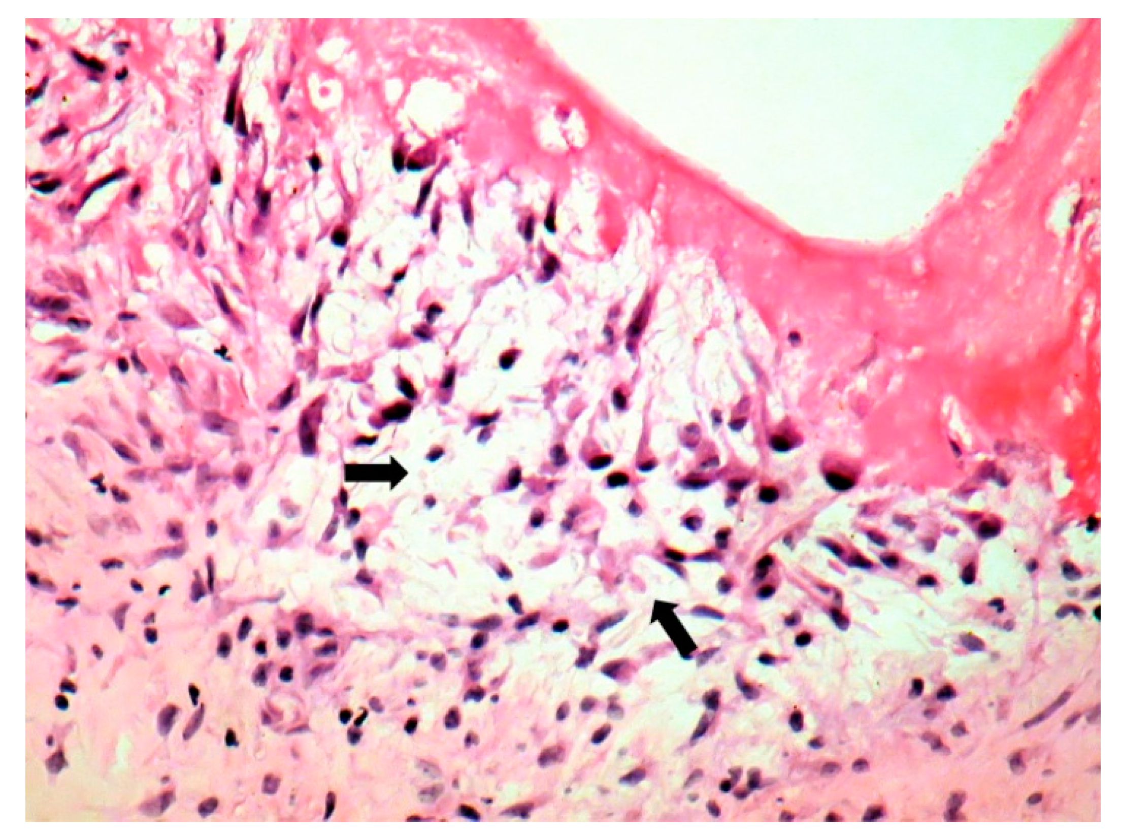 Jpm 11 00728 g006 550