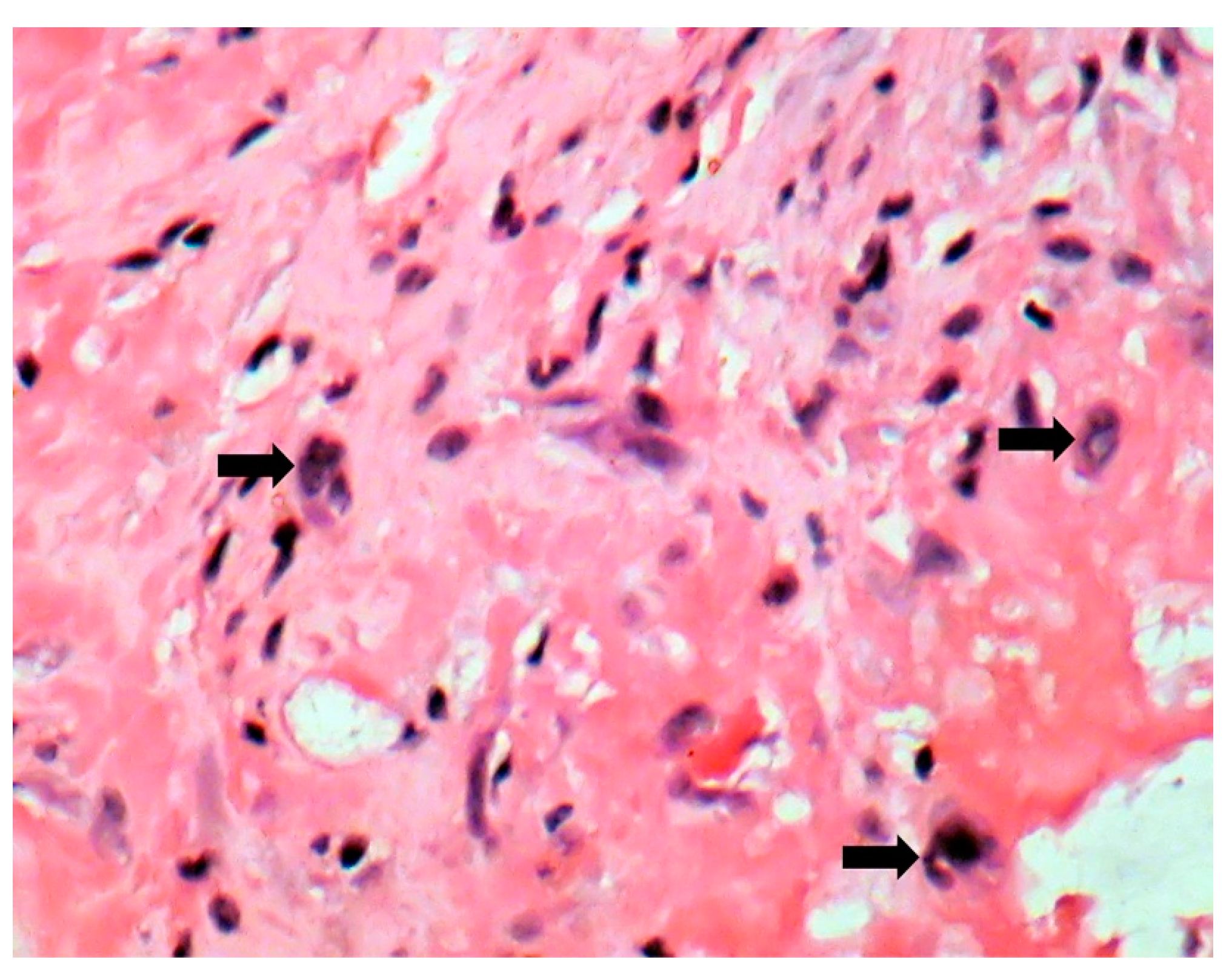 Jpm 11 00728 g007 550