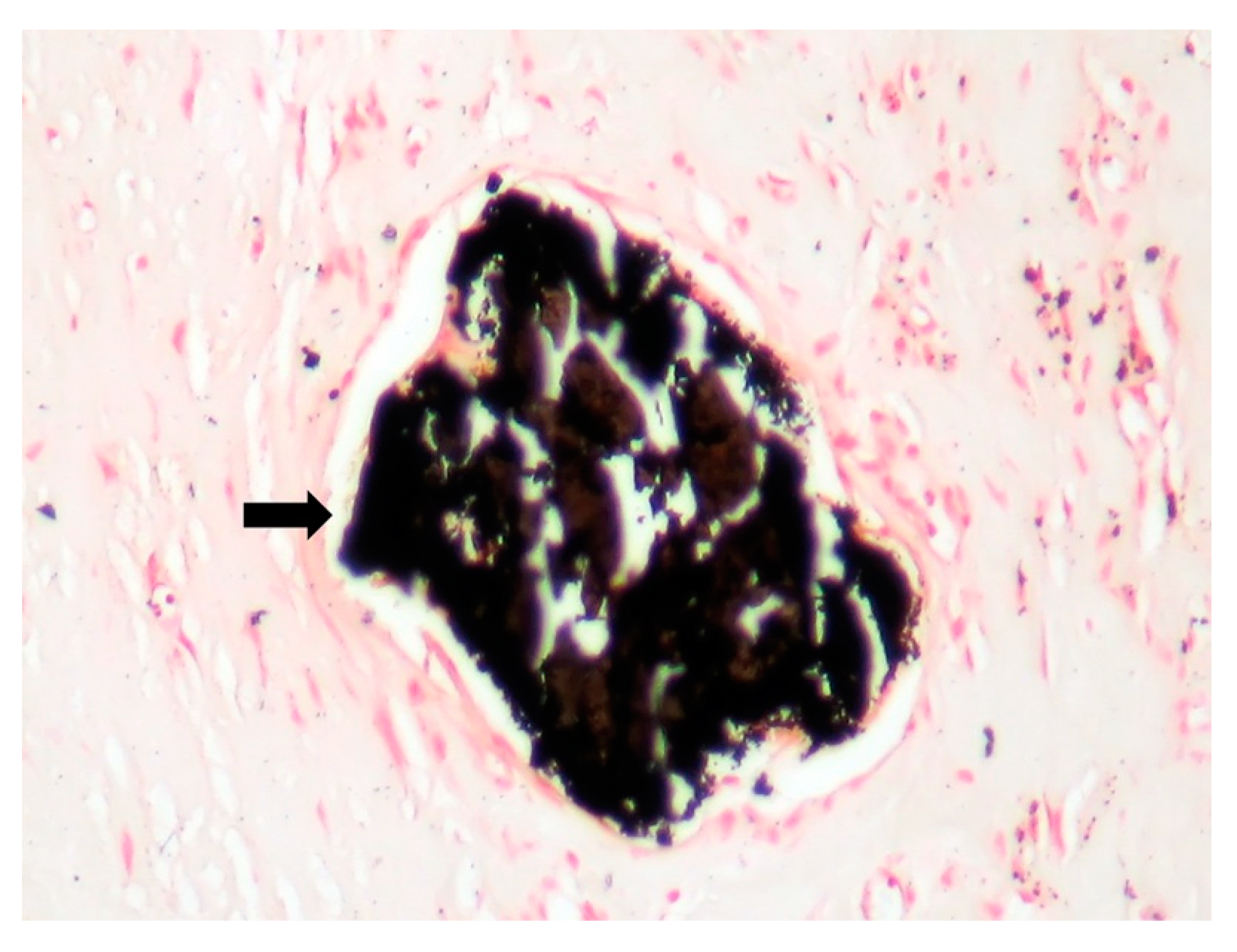 Jpm 11 00728 g008 550