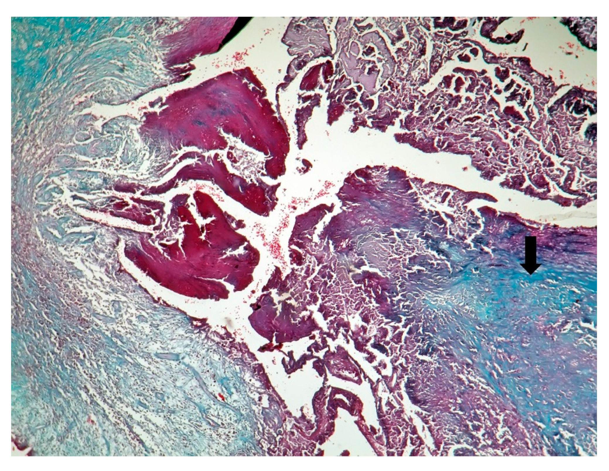 Jpm 11 00728 g009 550