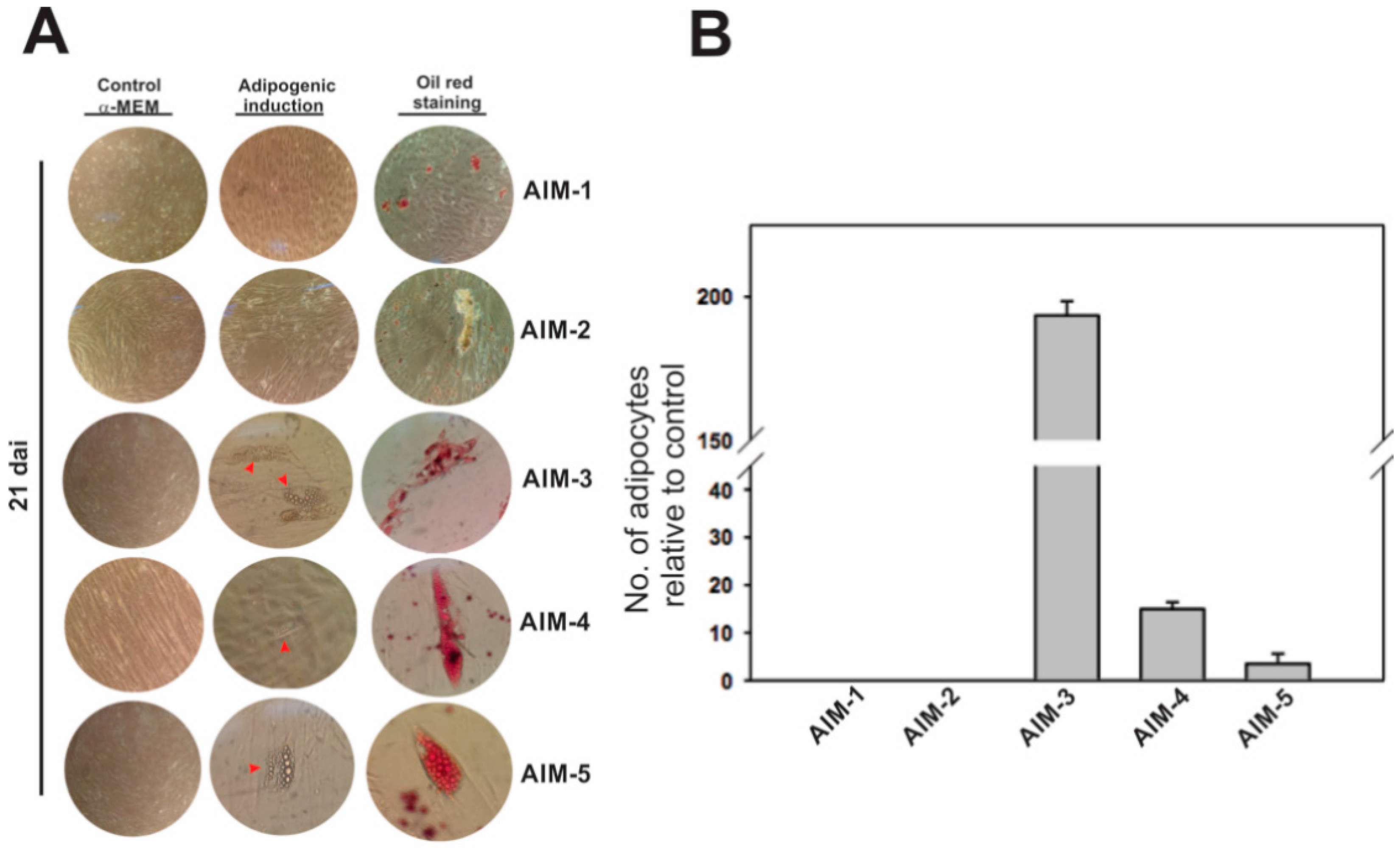 Jpm 11 00738 g005 Jpm 11 00738 g005