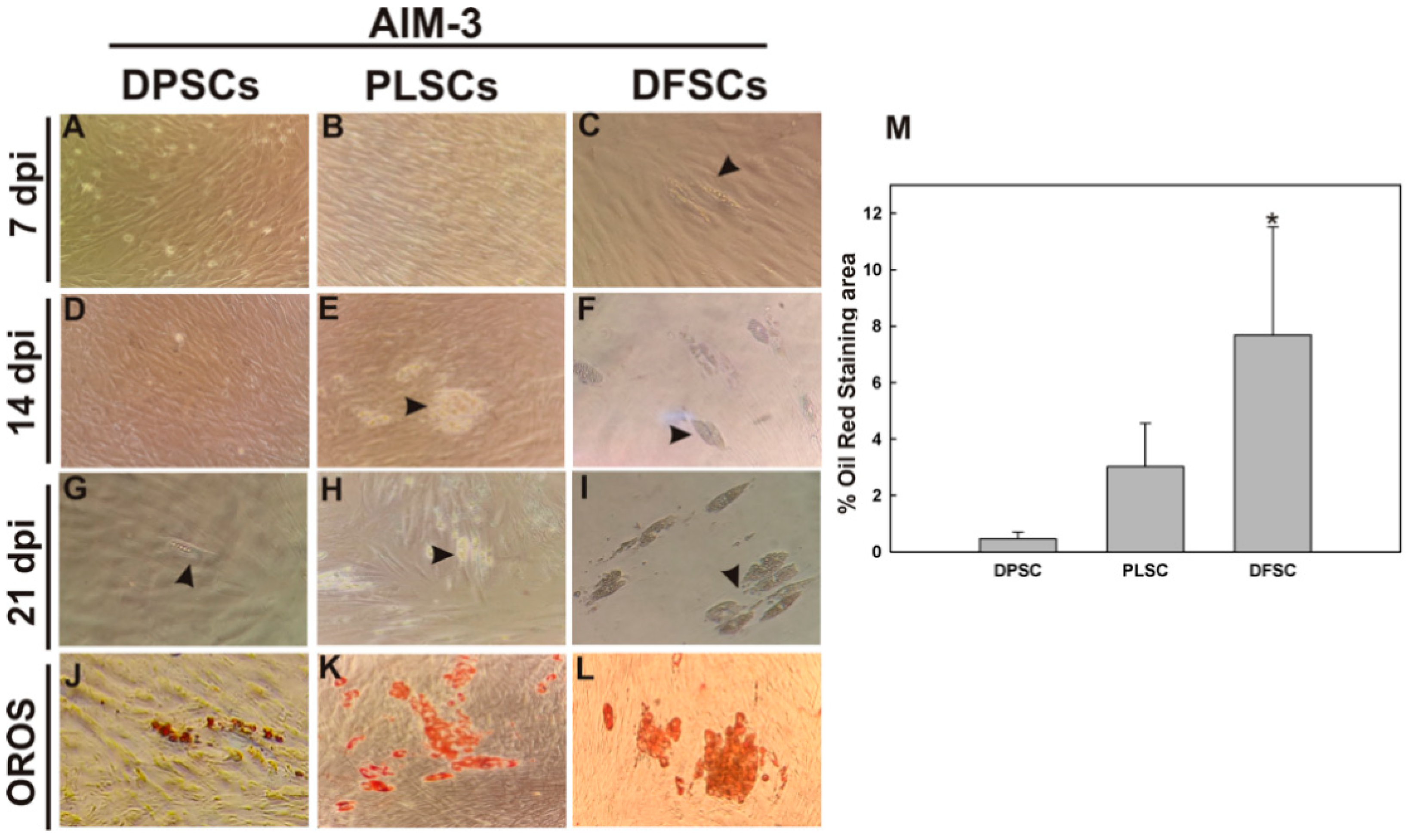 Jpm 11 00738 g006 Jpm 11 00738 g006