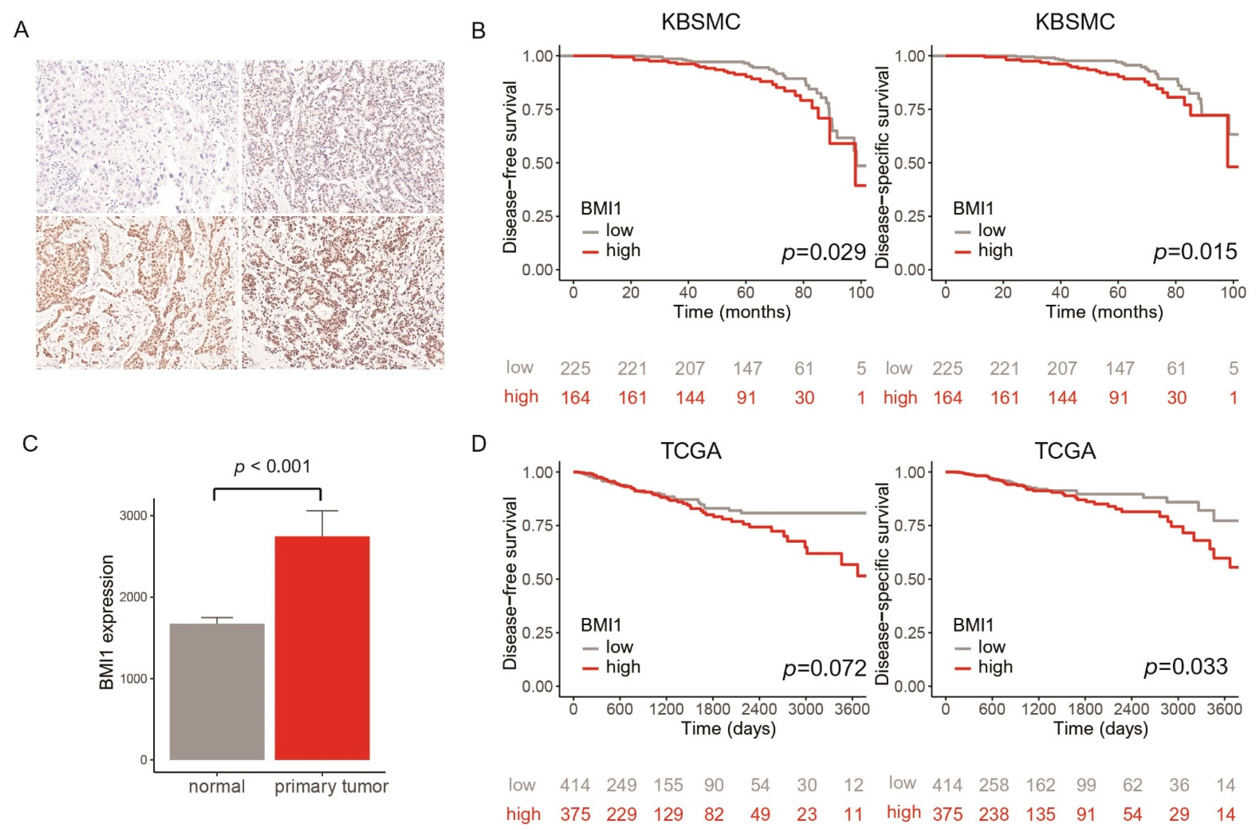 Jpm 11 00739 g002 550