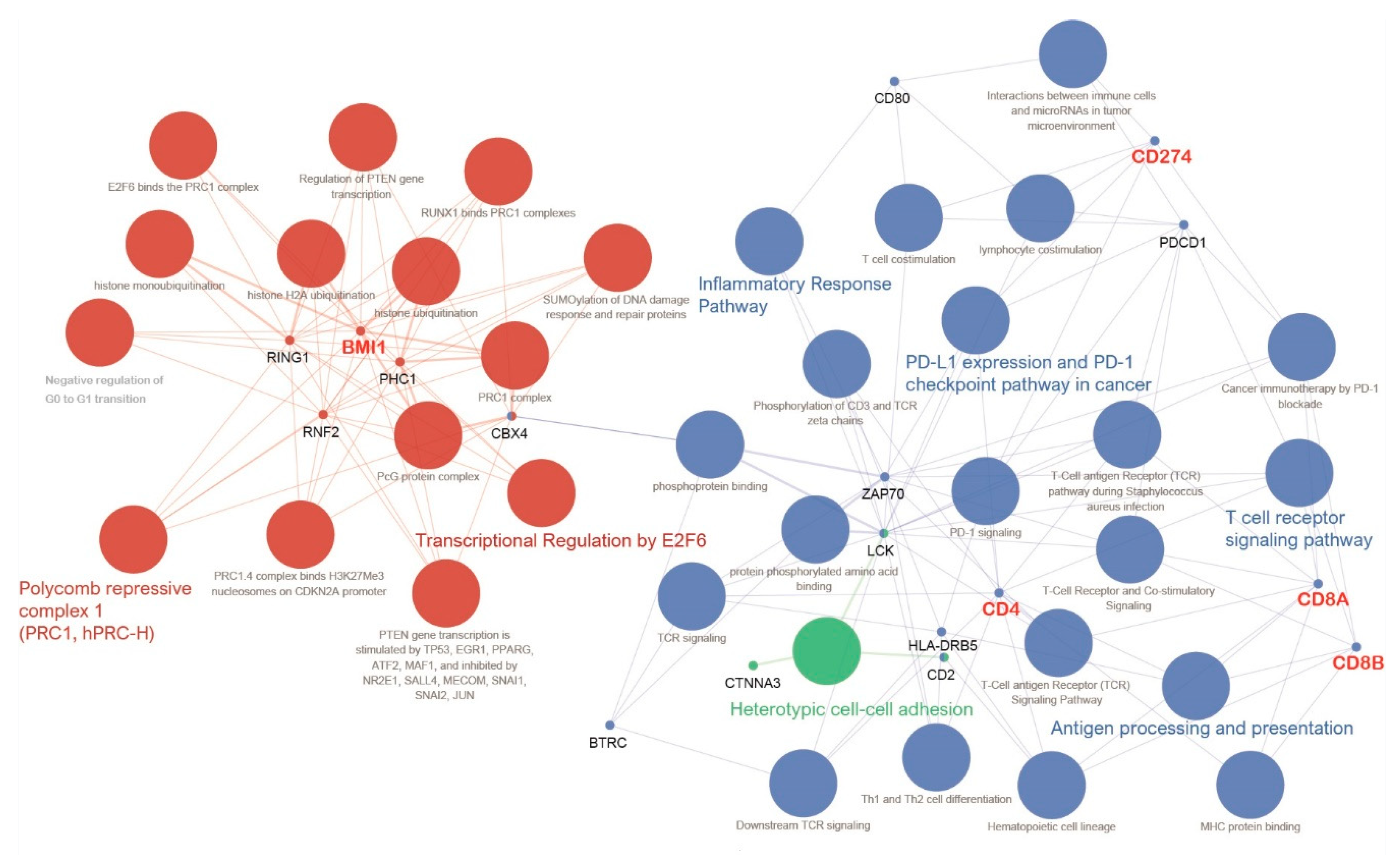 Jpm 11 00739 g004 550