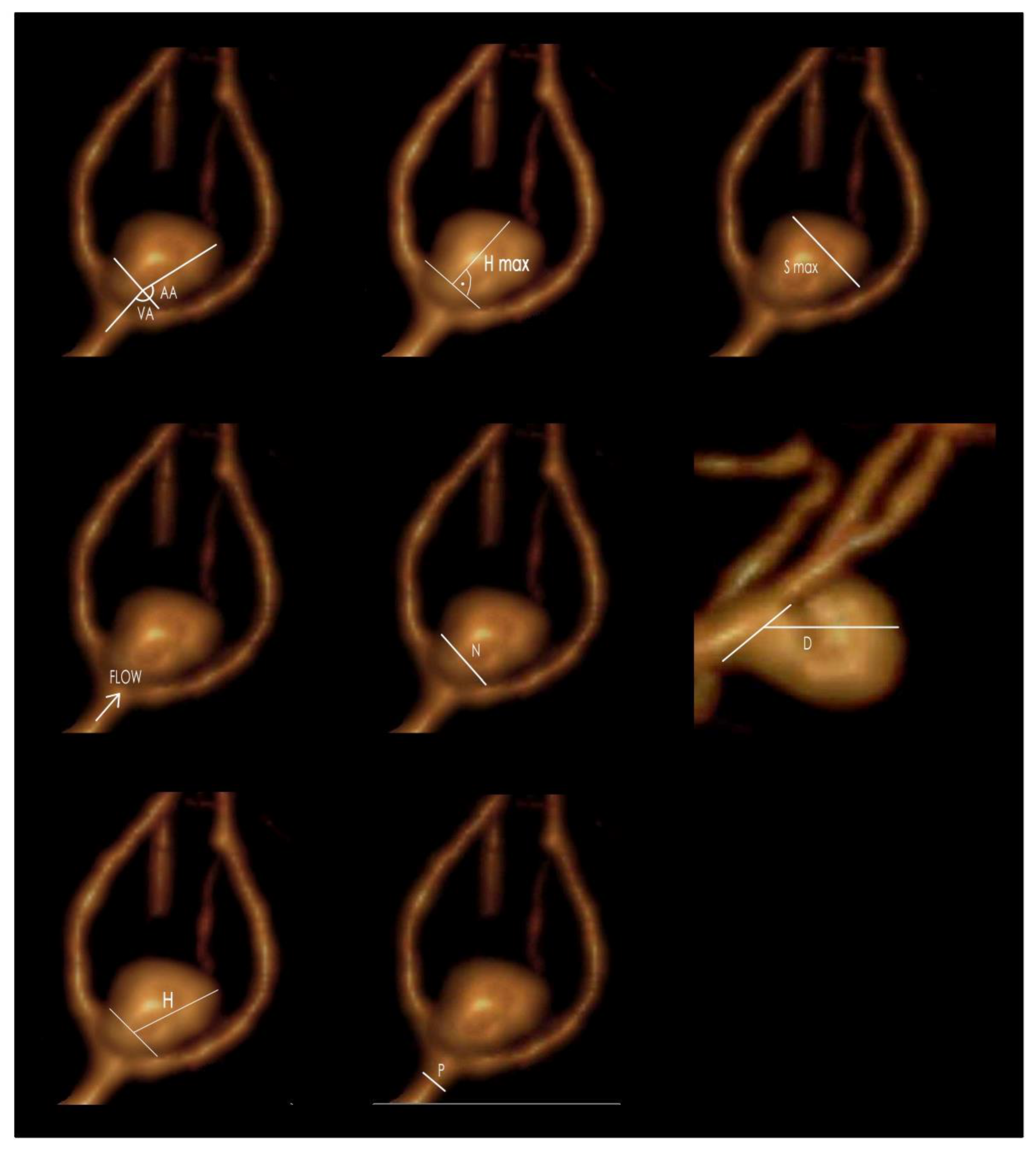 Jpm 11 00793 g001 550