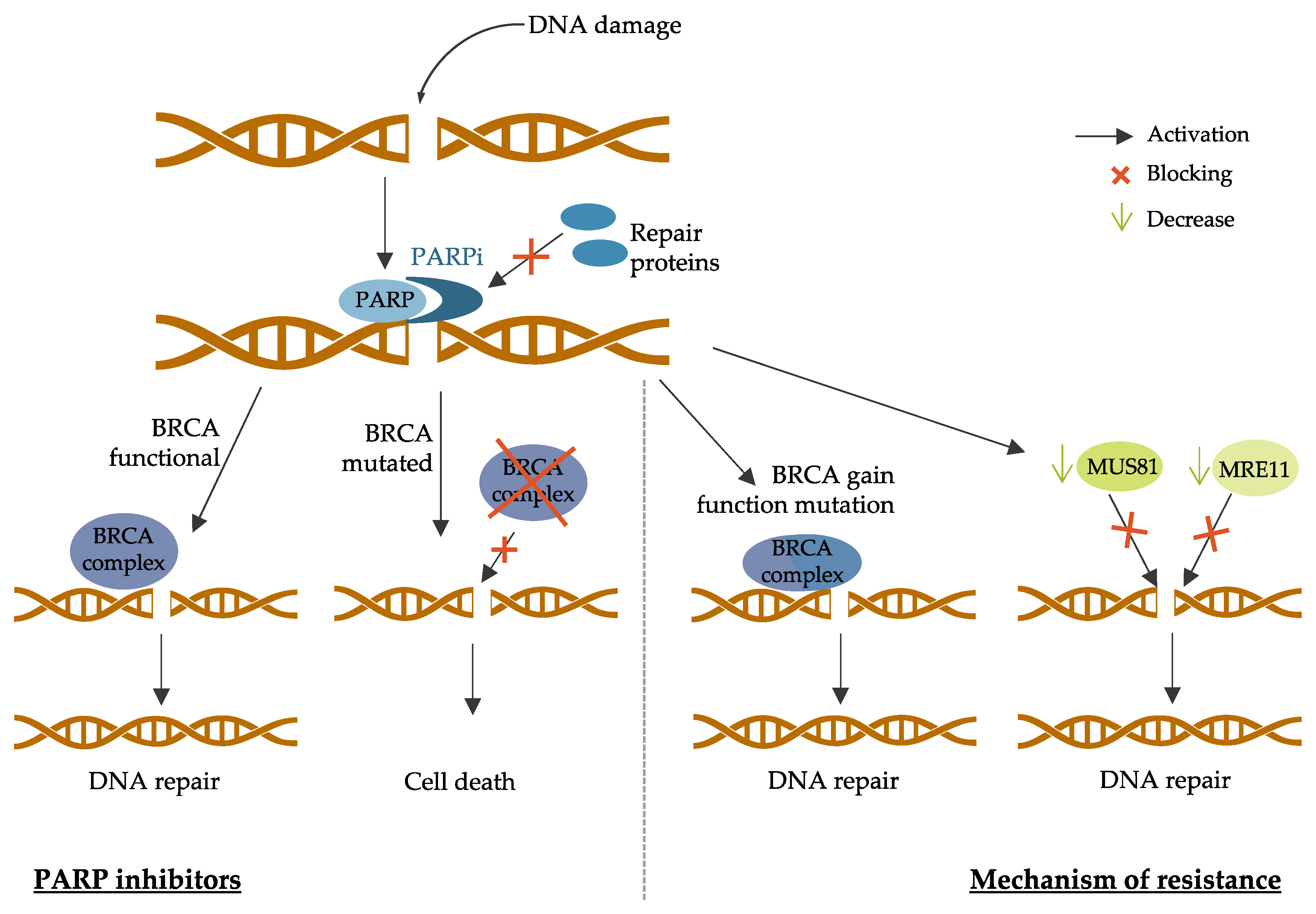 Jpm 11 00808 g005 Jpm 11 00808 g005