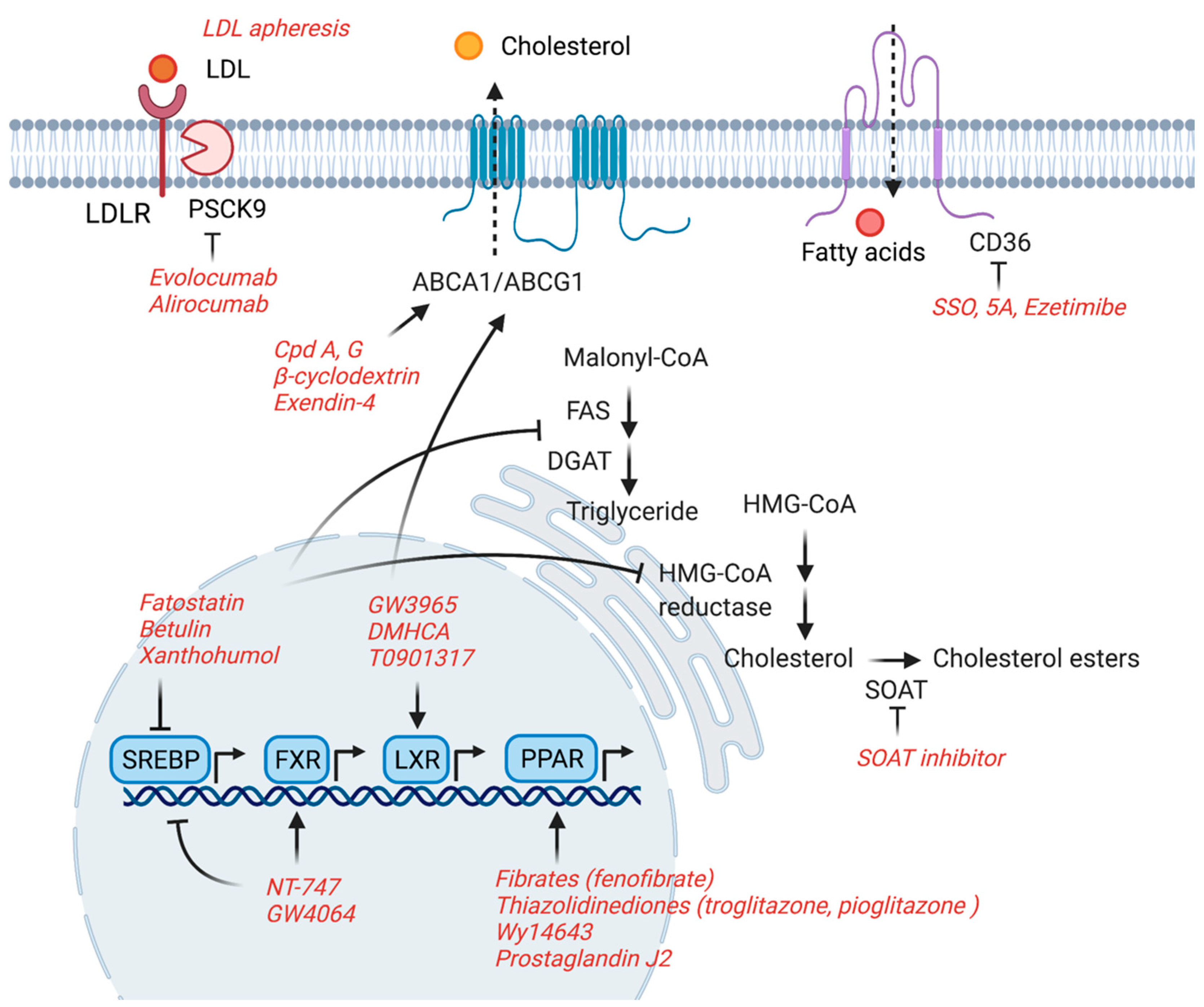 Jpm 11 00820 g001 Jpm 11 00820 g001