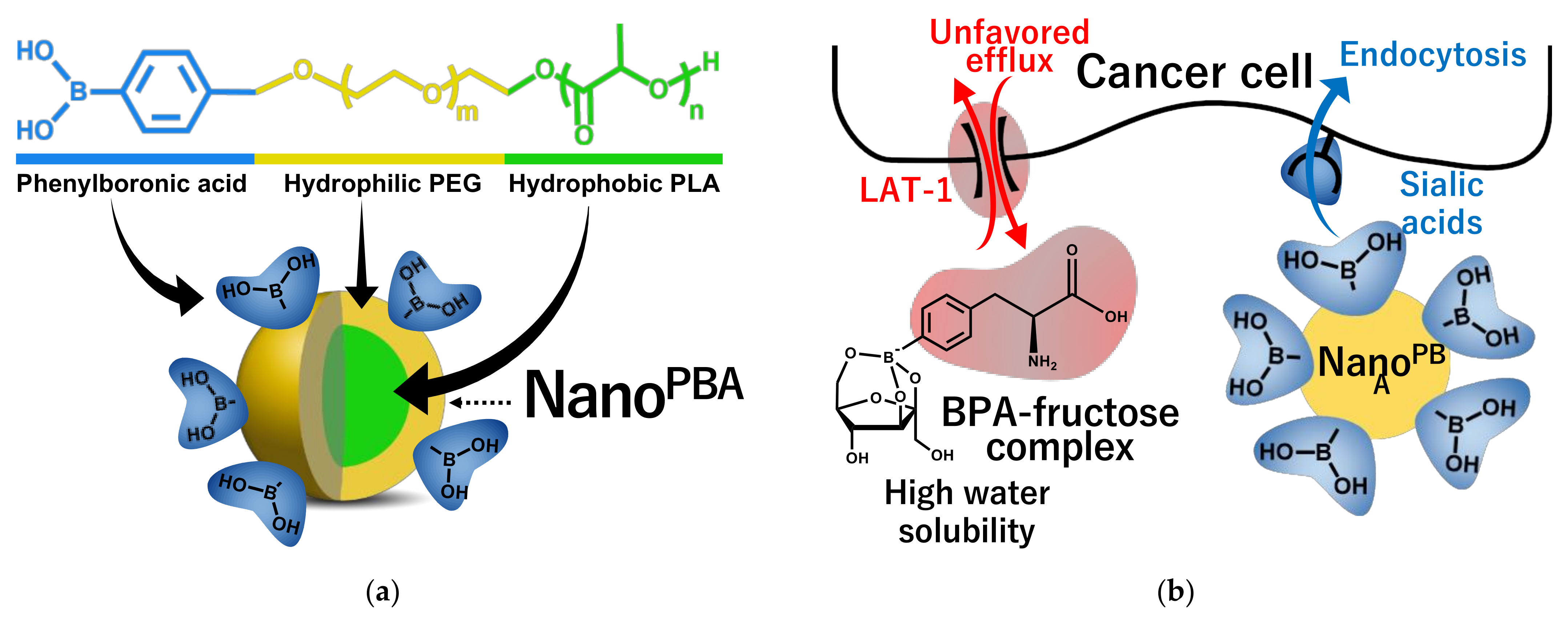 Jpm 11 00825 g007 Jpm 11 00825 g007