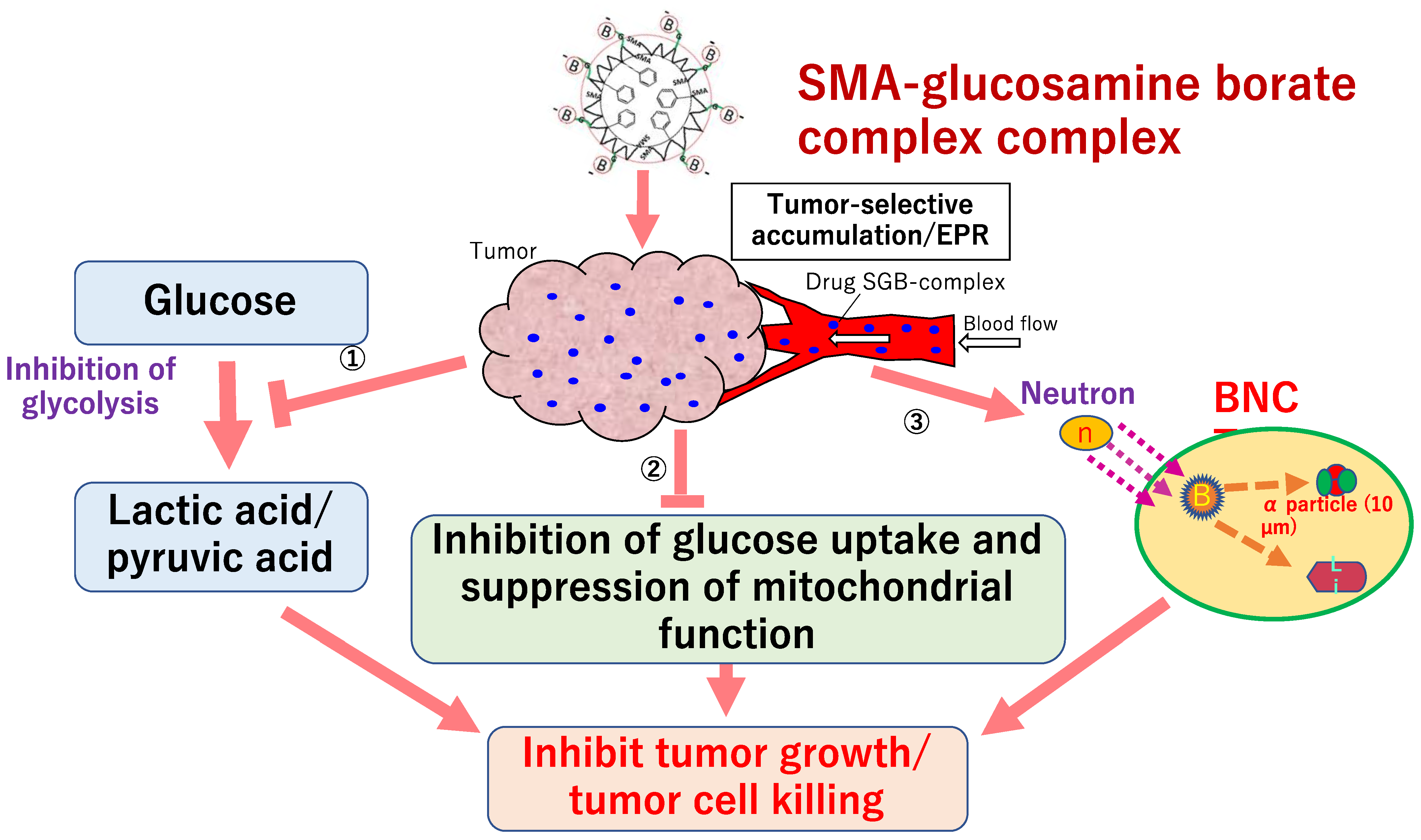 Jpm 11 00825 g008 Jpm 11 00825 g008