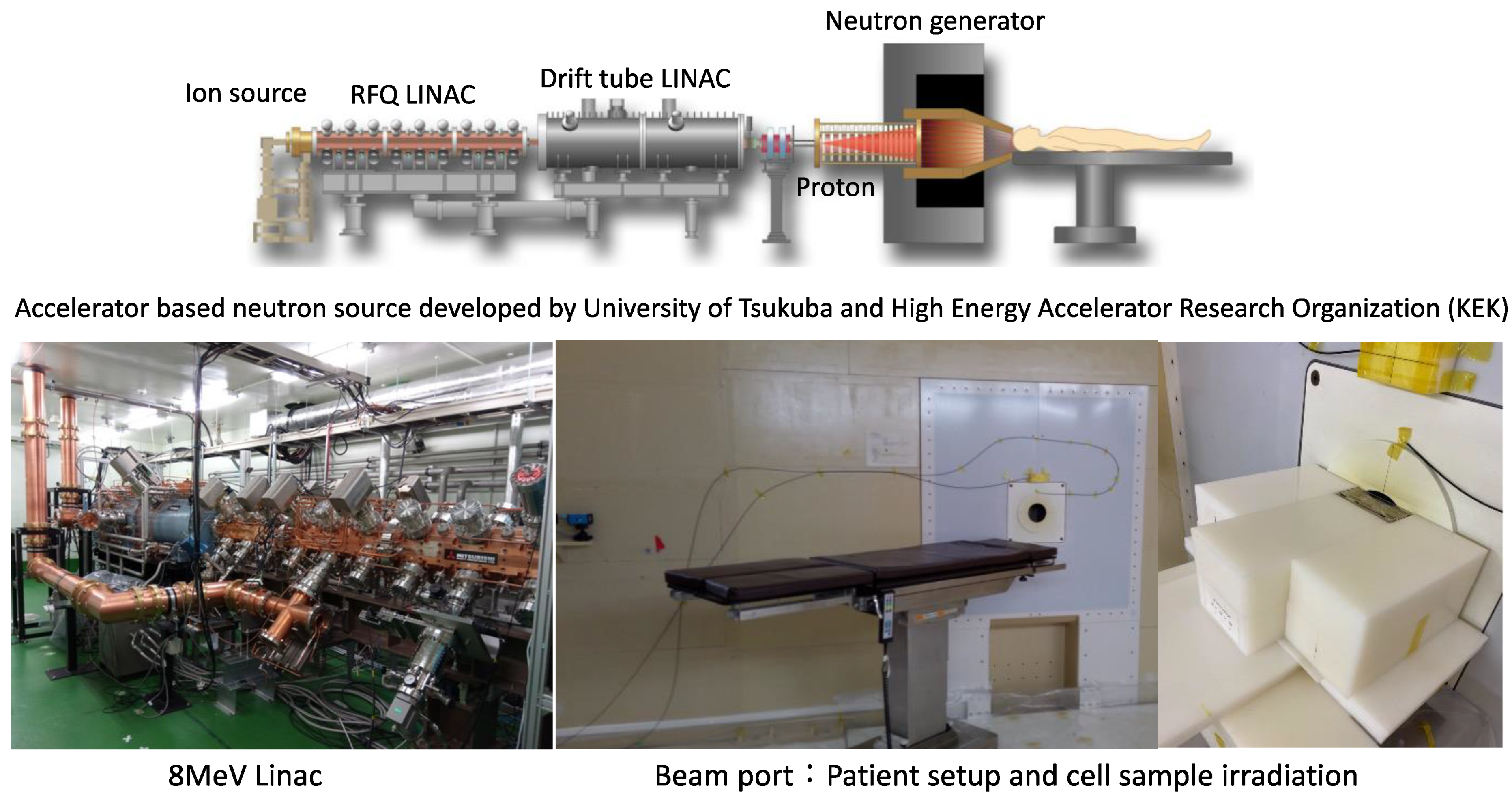 Jpm 11 00825 g009 Jpm 11 00825 g009