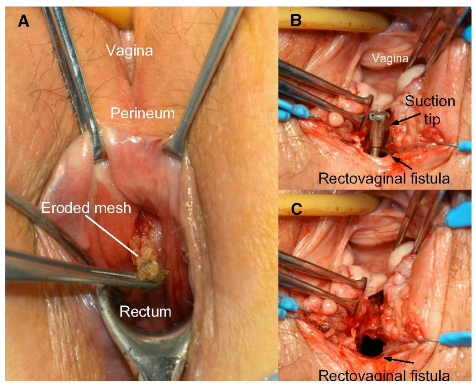 Jpm 11 00840 g003 Jpm 11 00840 g003