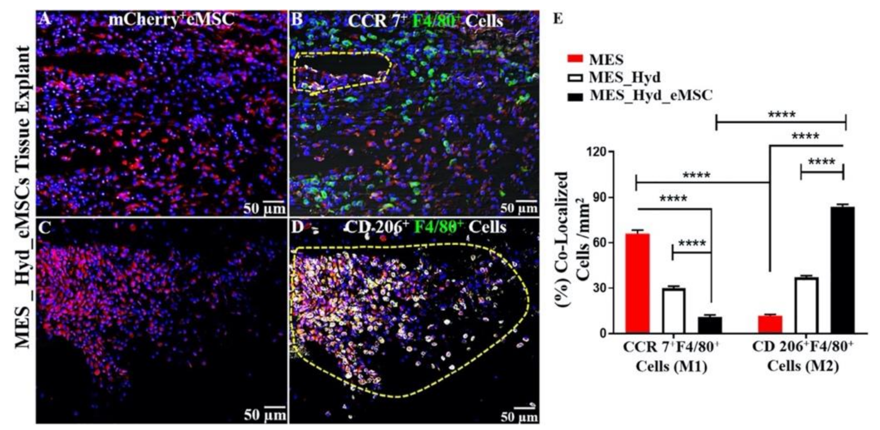 Jpm 11 00840 g008 Jpm 11 00840 g008