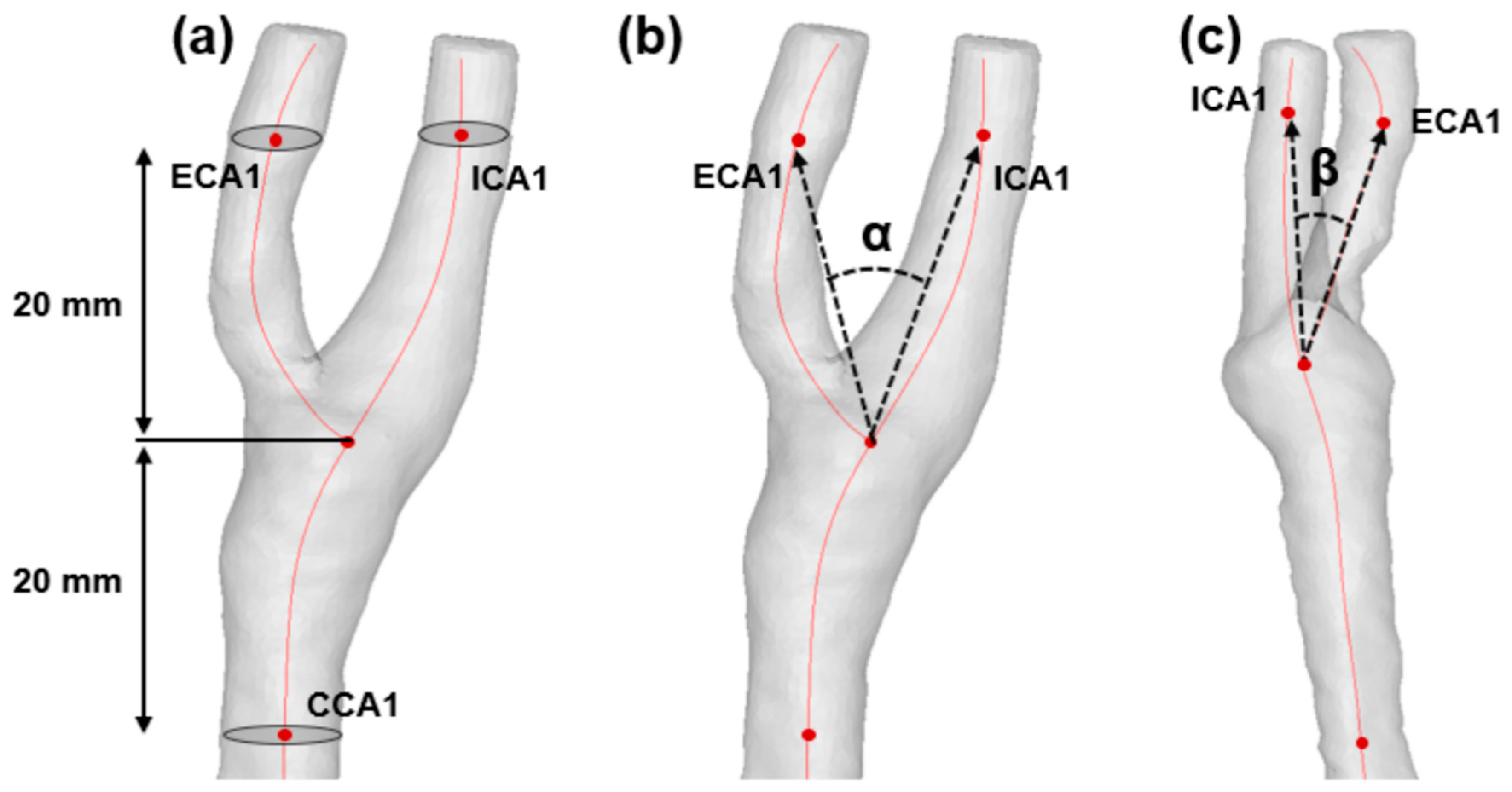 Jpm 11 00856 g001 Jpm 11 00856 g001