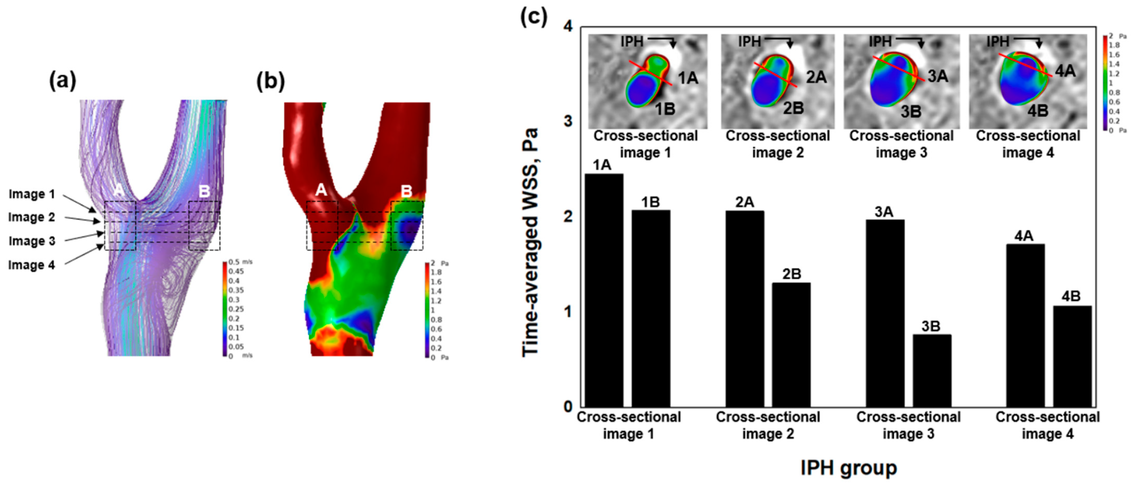 Jpm 11 00856 g003 Jpm 11 00856 g003