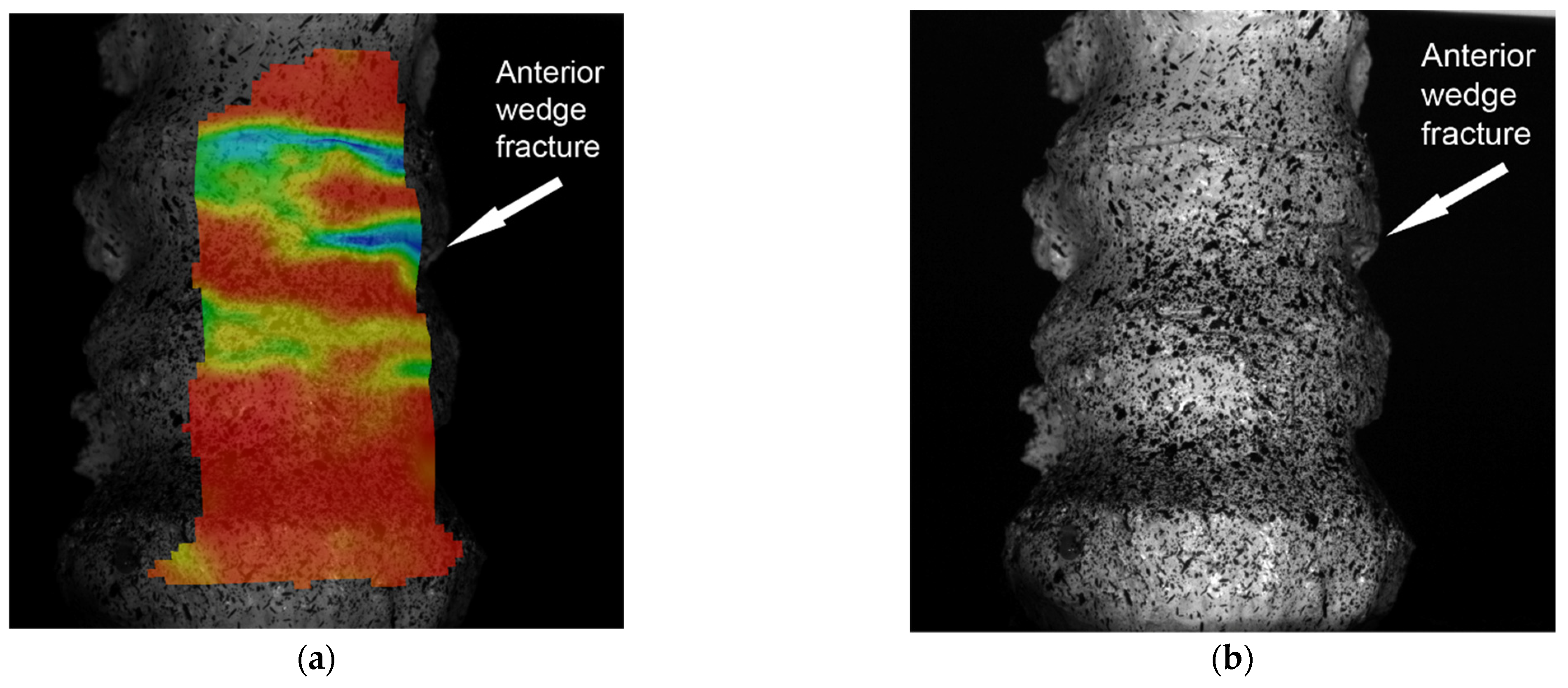 Jpm 11 00907 g008 550