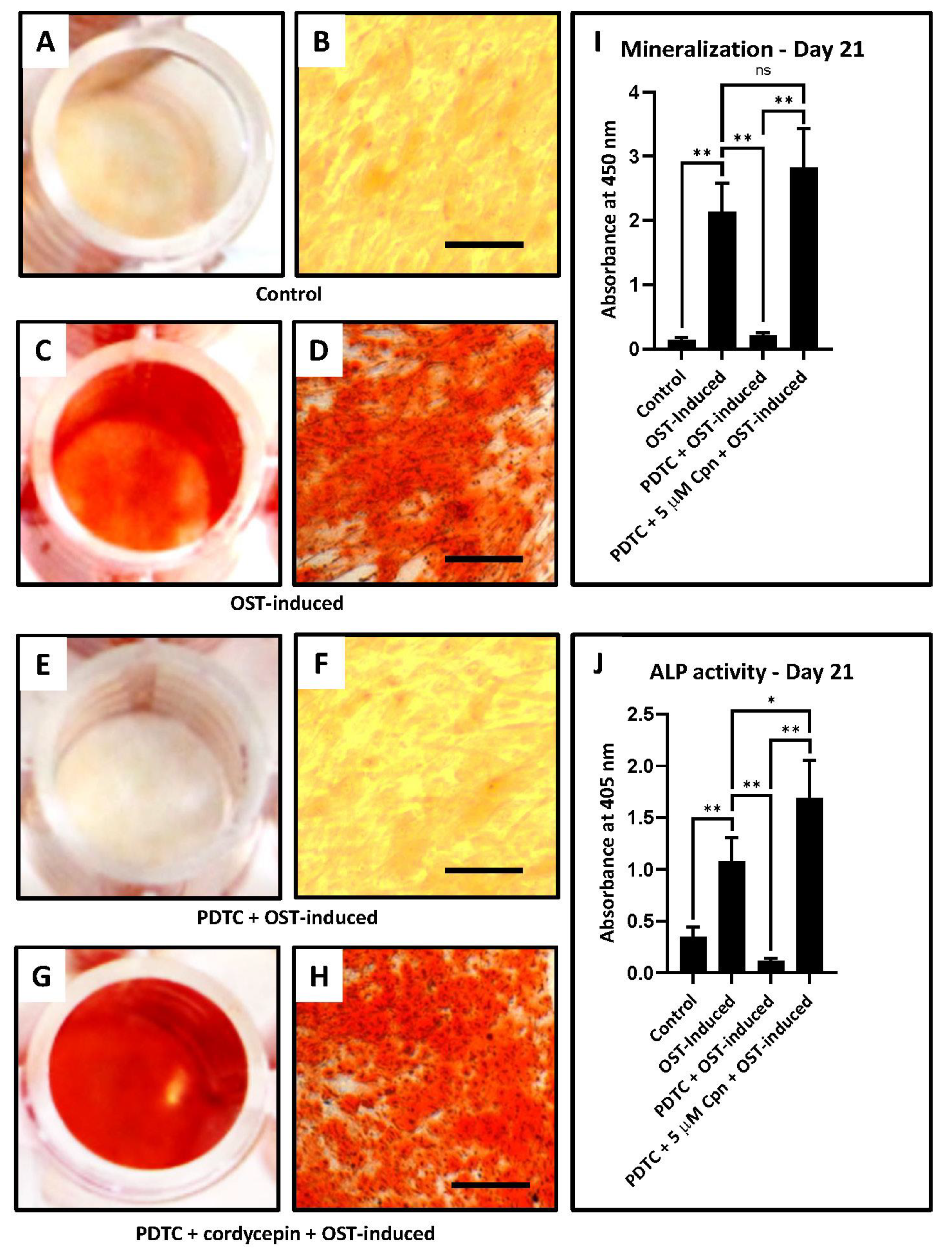 Jpm 11 00915 g003 550